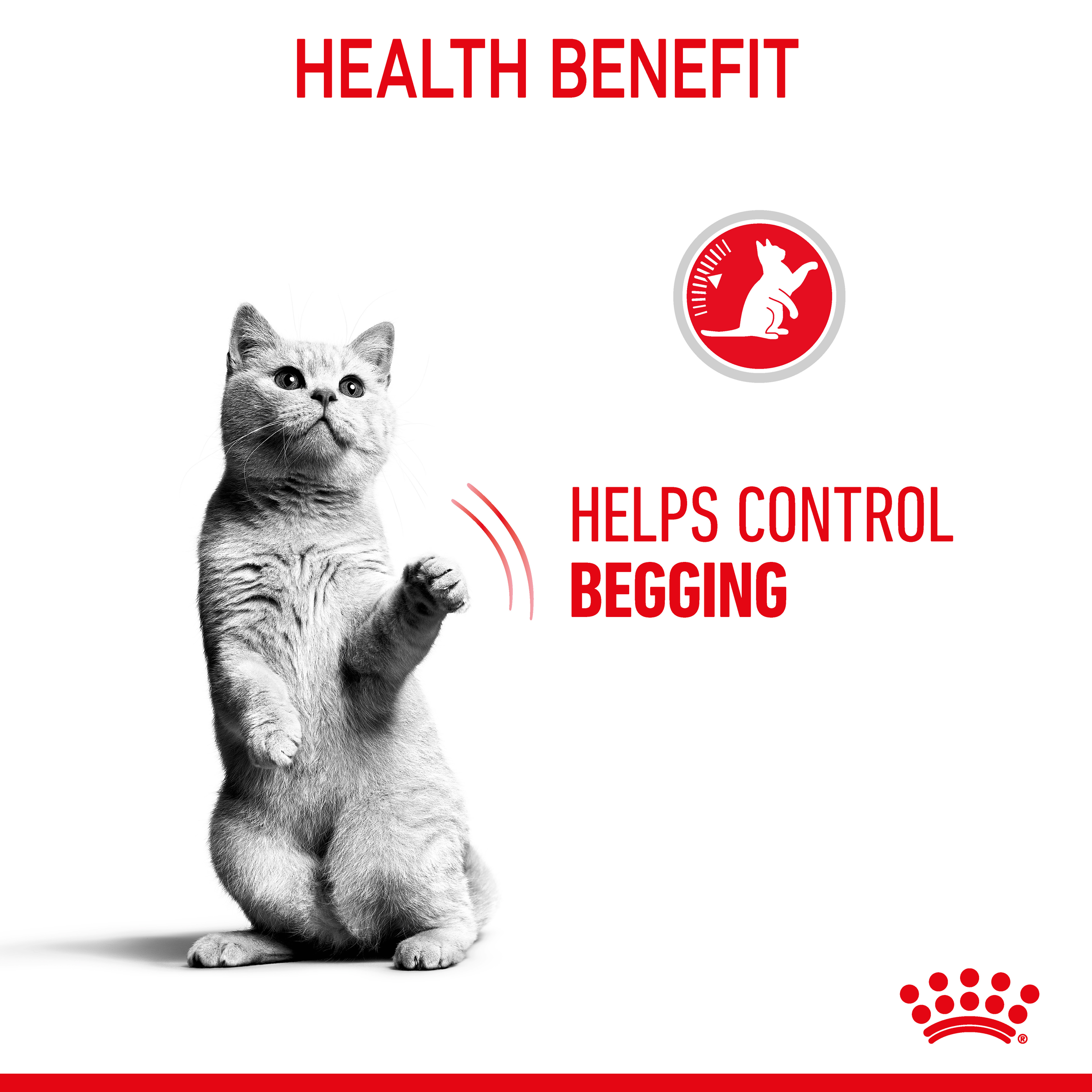 Cat reaching up beside the Royal Canin claim that it helps control begging
