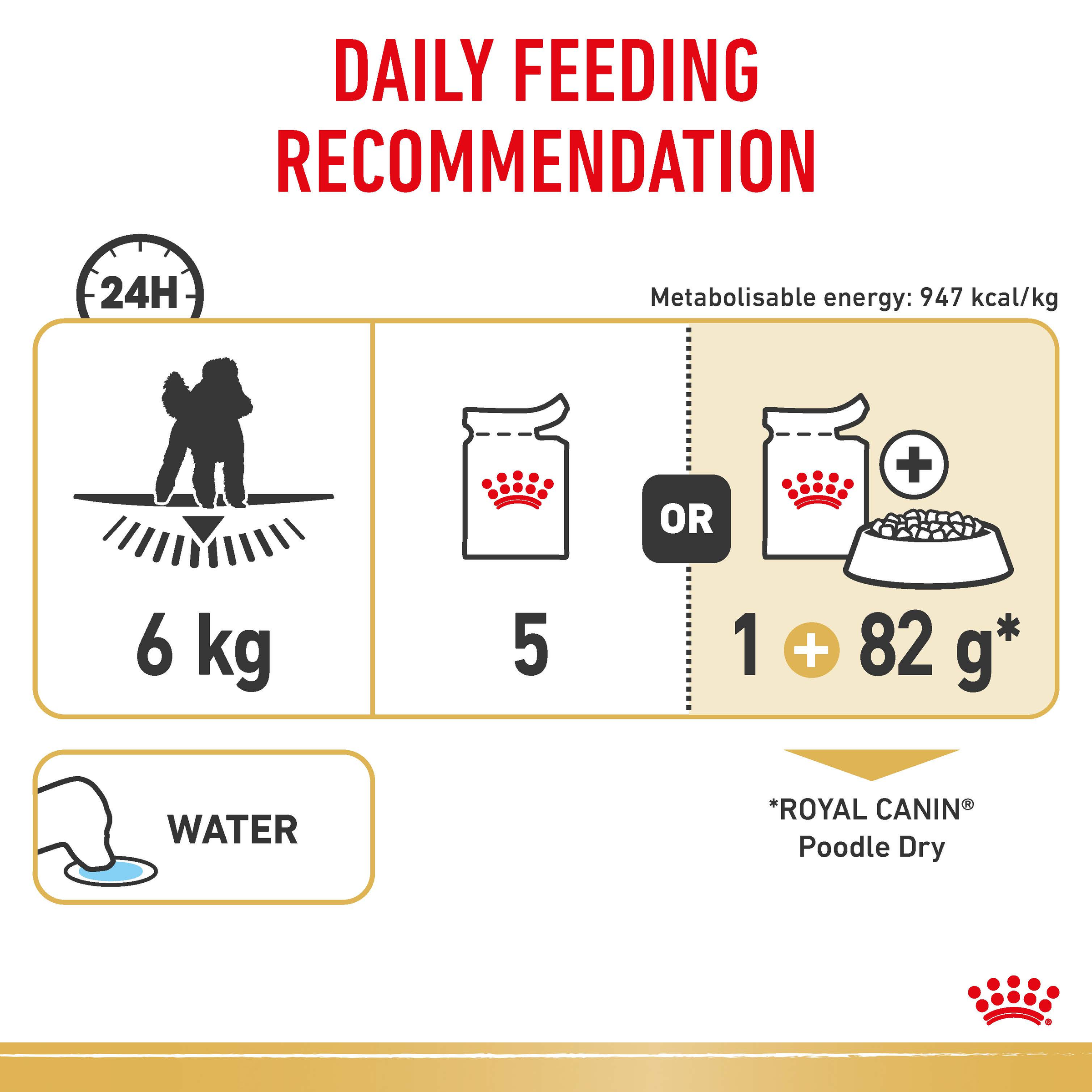 Royal Canin Poodle Loaf, wet dog food, 12 or 48 x 85g, adult dog