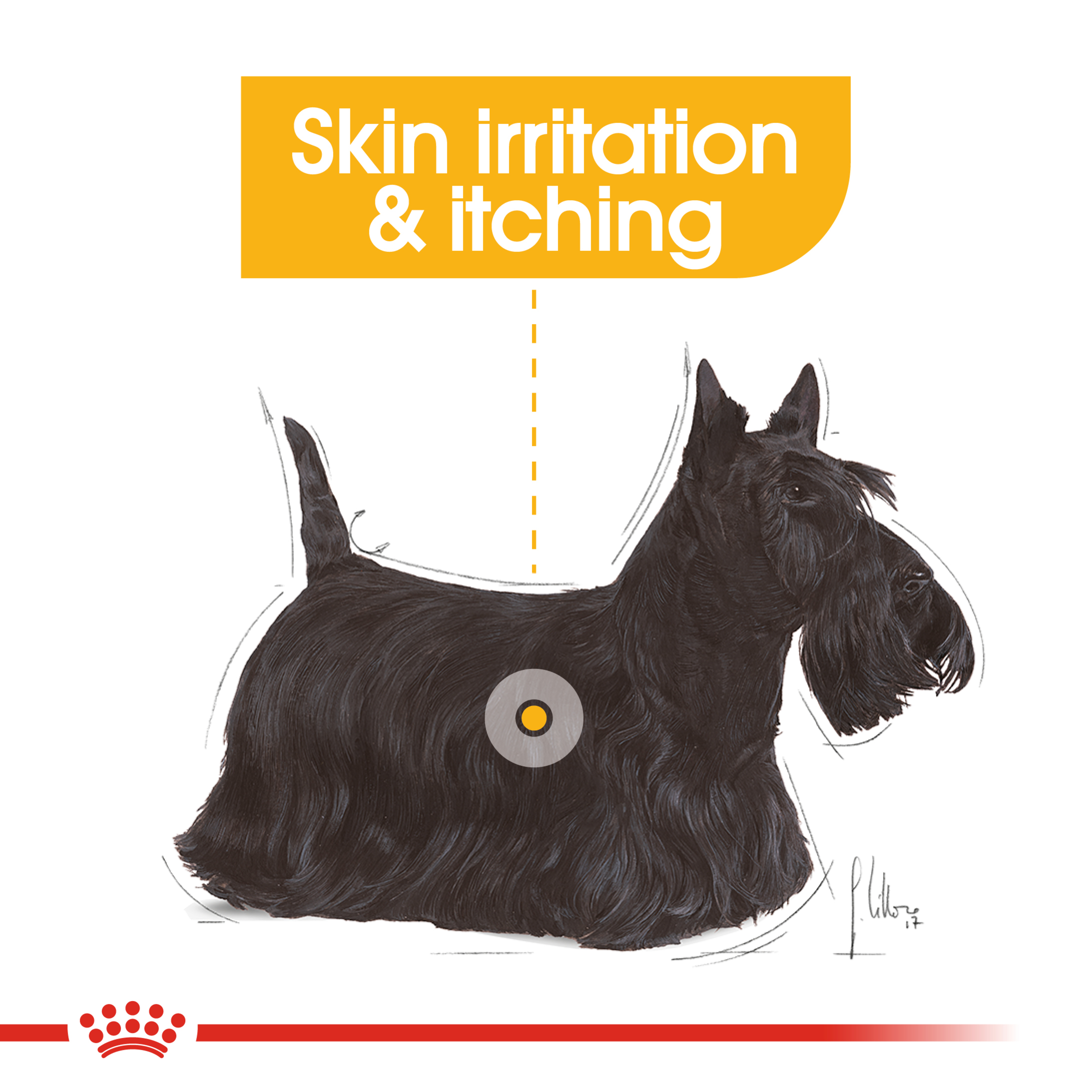 Royal Canin Dermacomfort Loaf Wet Dog Food product detail 3