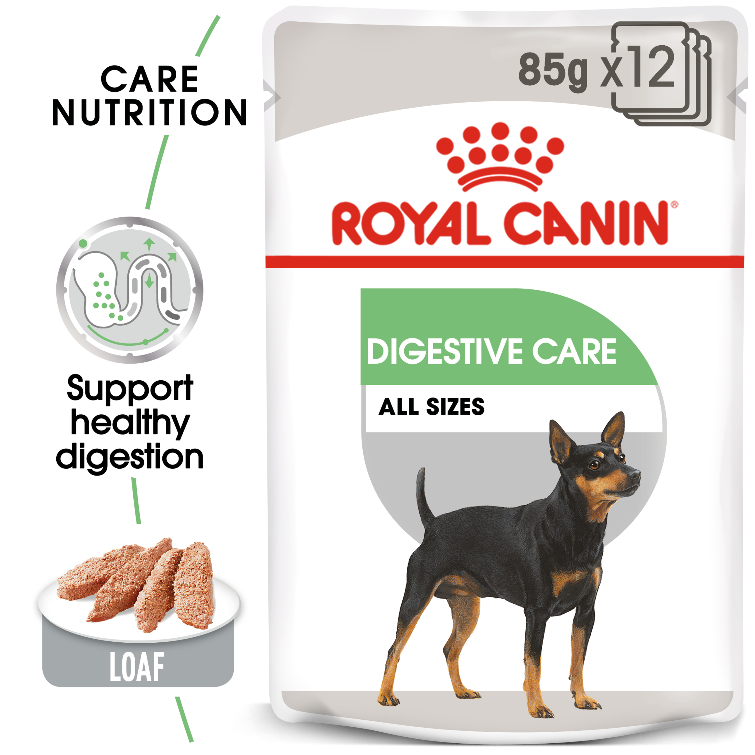 Royal Canin Digestive Care Loaf, wet dog food, 12 or 48 x 85g, dog