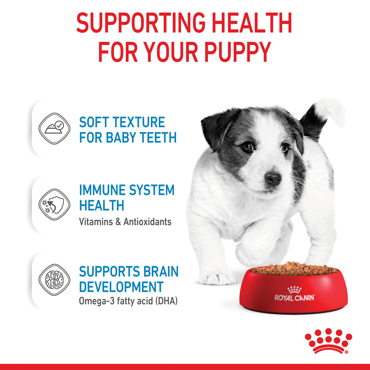Royal Canin Mini Puppy health support: soft texture, immune health, brain development