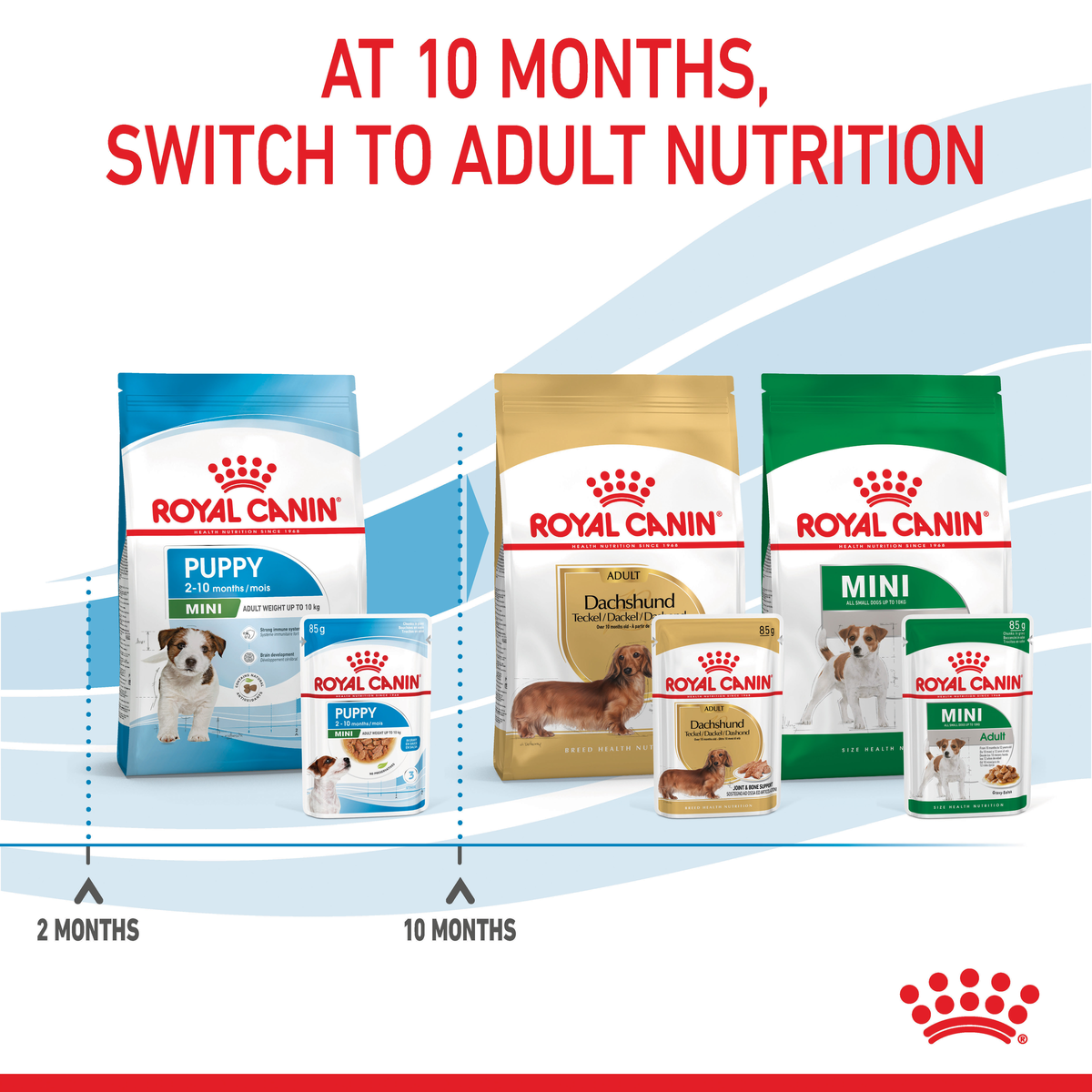 Royal Canin Mini packs showing the switch to adult nutrition at 10 months