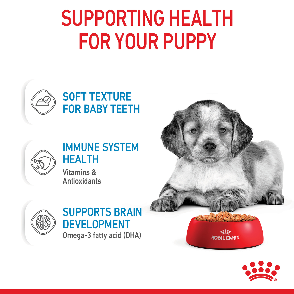 Royal Canin Medium Puppy health support: soft texture, immune health, brain development