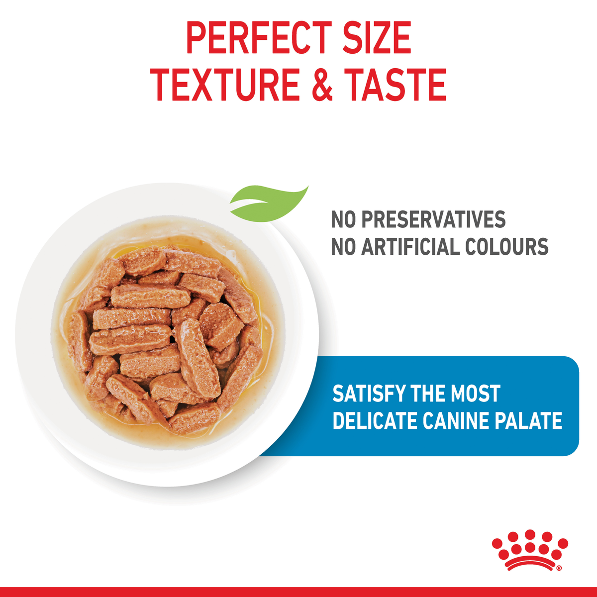Close-up of Royal Canin Medium Puppy chunks in gravy, no preservatives or artificial colours