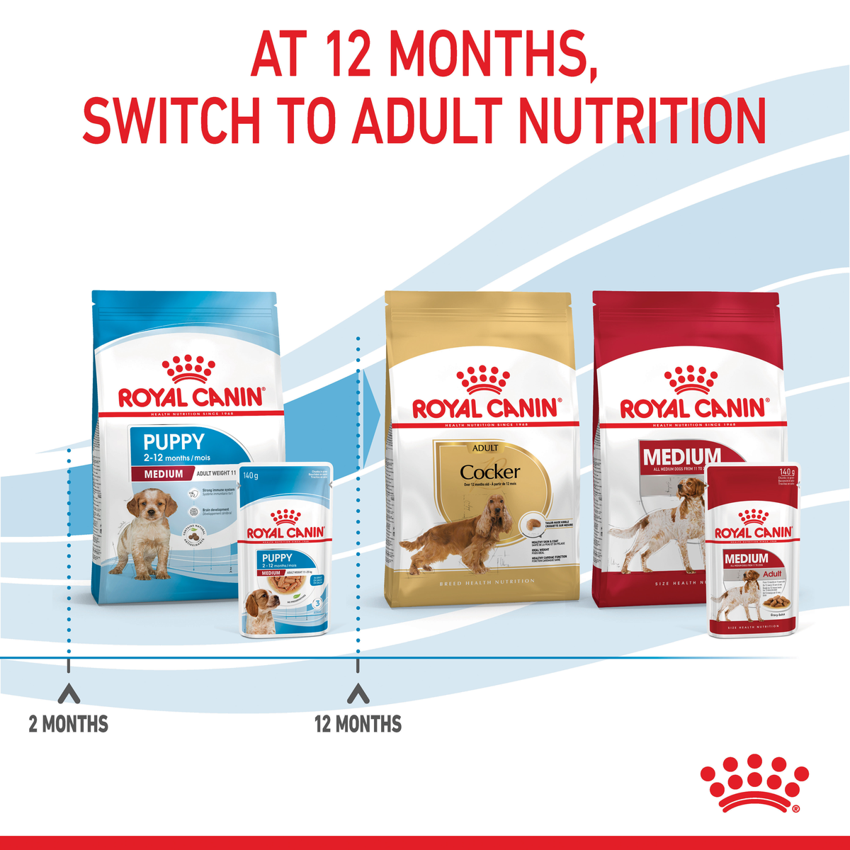 Royal Canin Medium packs showing the switch to adult nutrition at 12 months