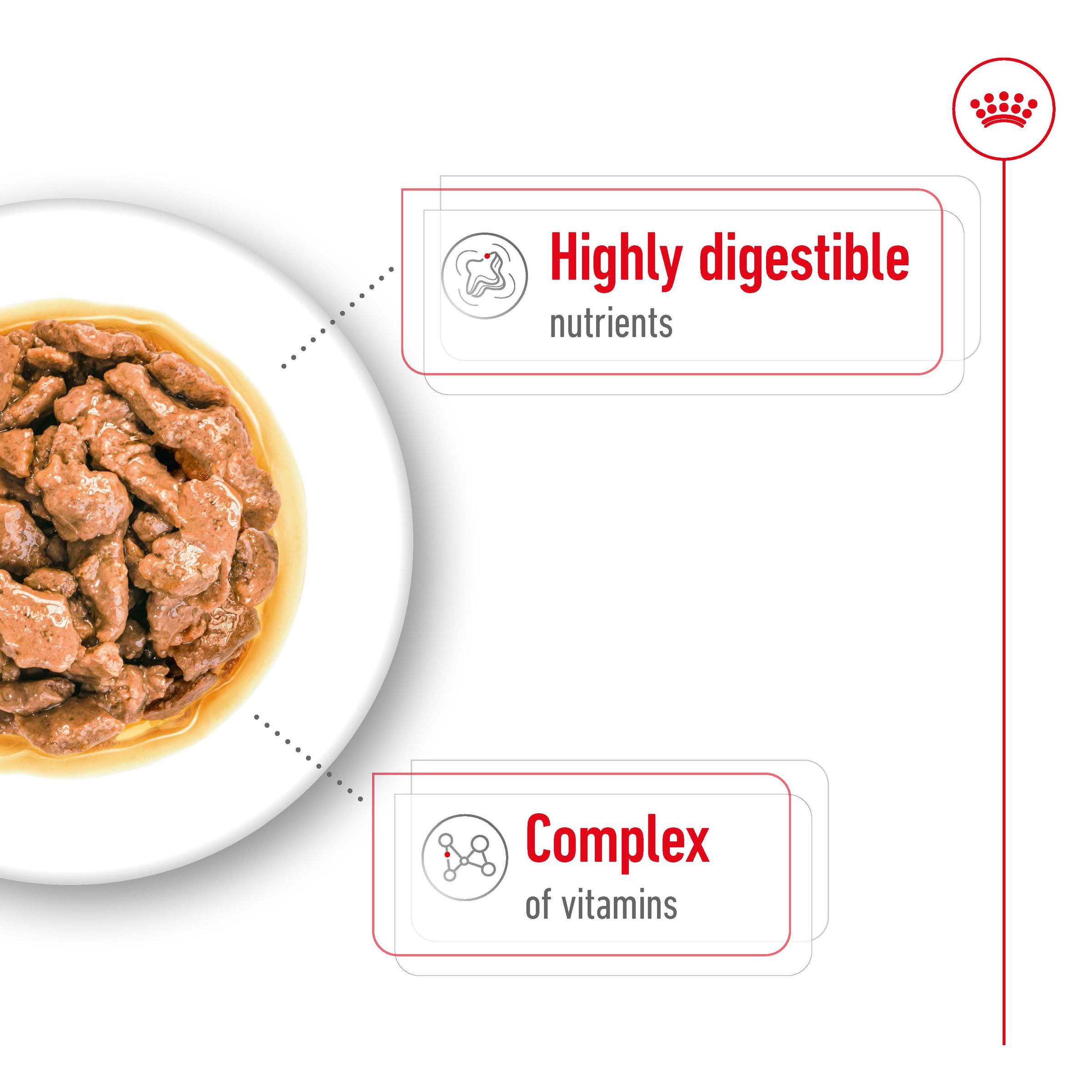 Royal Canin Mini Adult Gravy, wet dog food pouches, 12 or 48 x 85g, small breed adult dog