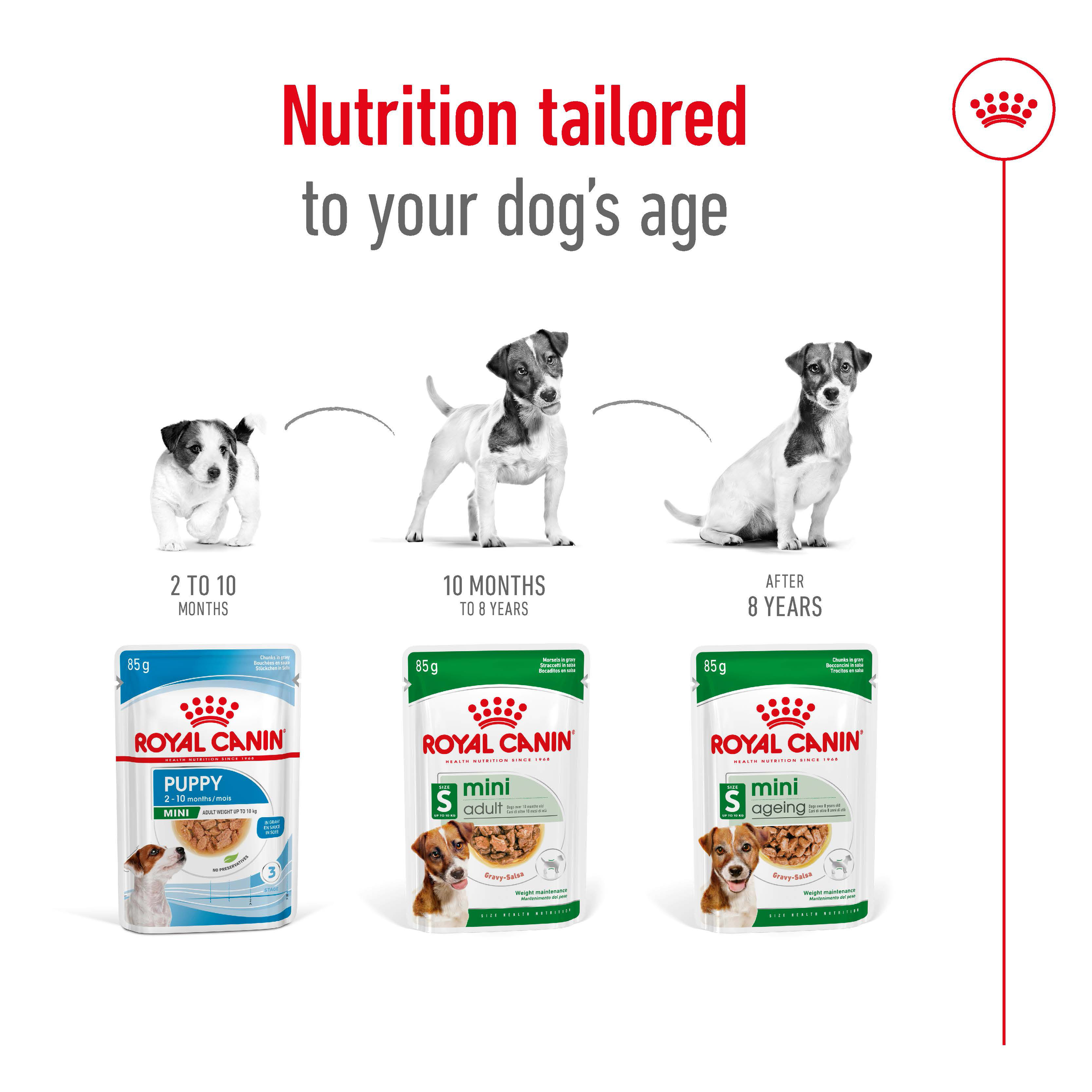 Royal Canin Mini Adult Gravy, wet dog food pouches, 12 or 48 x 85g, small breed adult dog