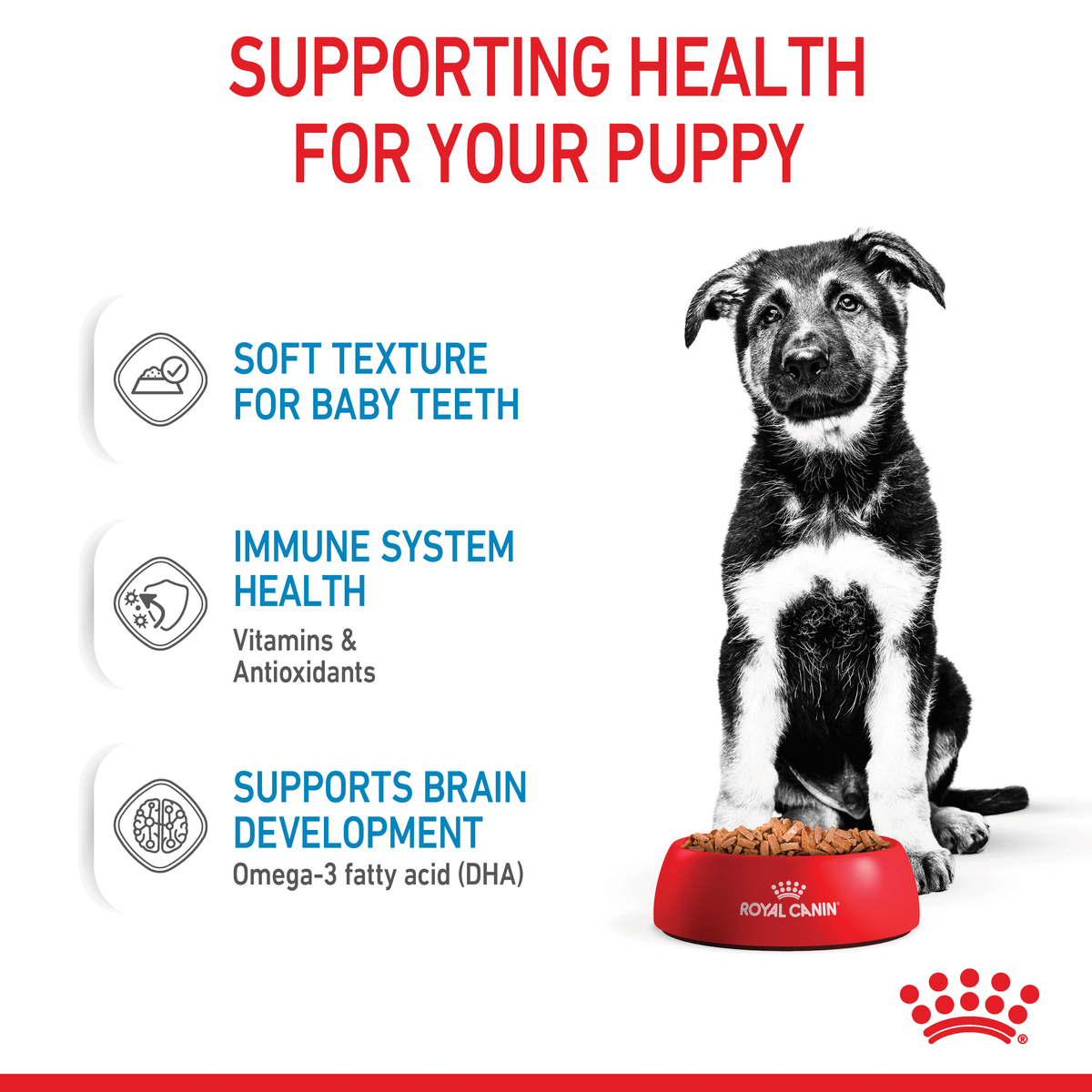 Royal Canin Maxi Puppy health support: soft texture, immune health, brain development