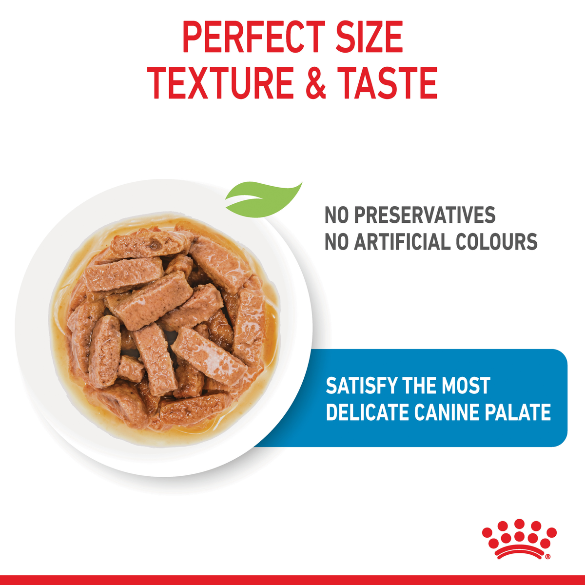 Close-up of Royal Canin Maxi Puppy chunks in gravy, no preservatives or artificial colours