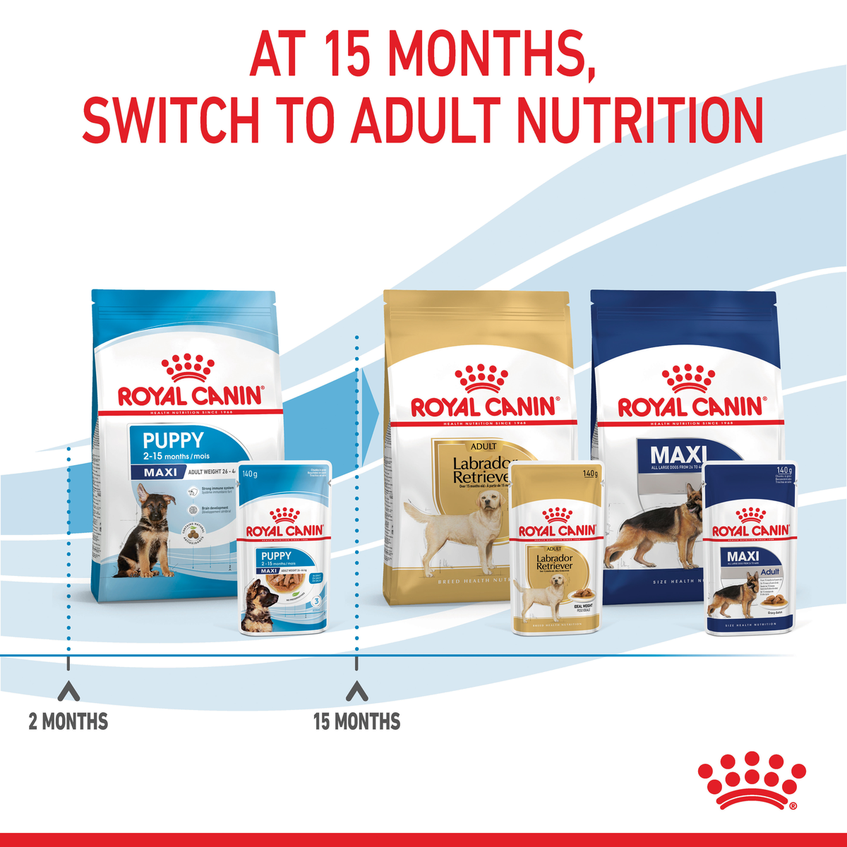 Royal Canin Maxi packs showing the switch to adult nutrition at 15 months