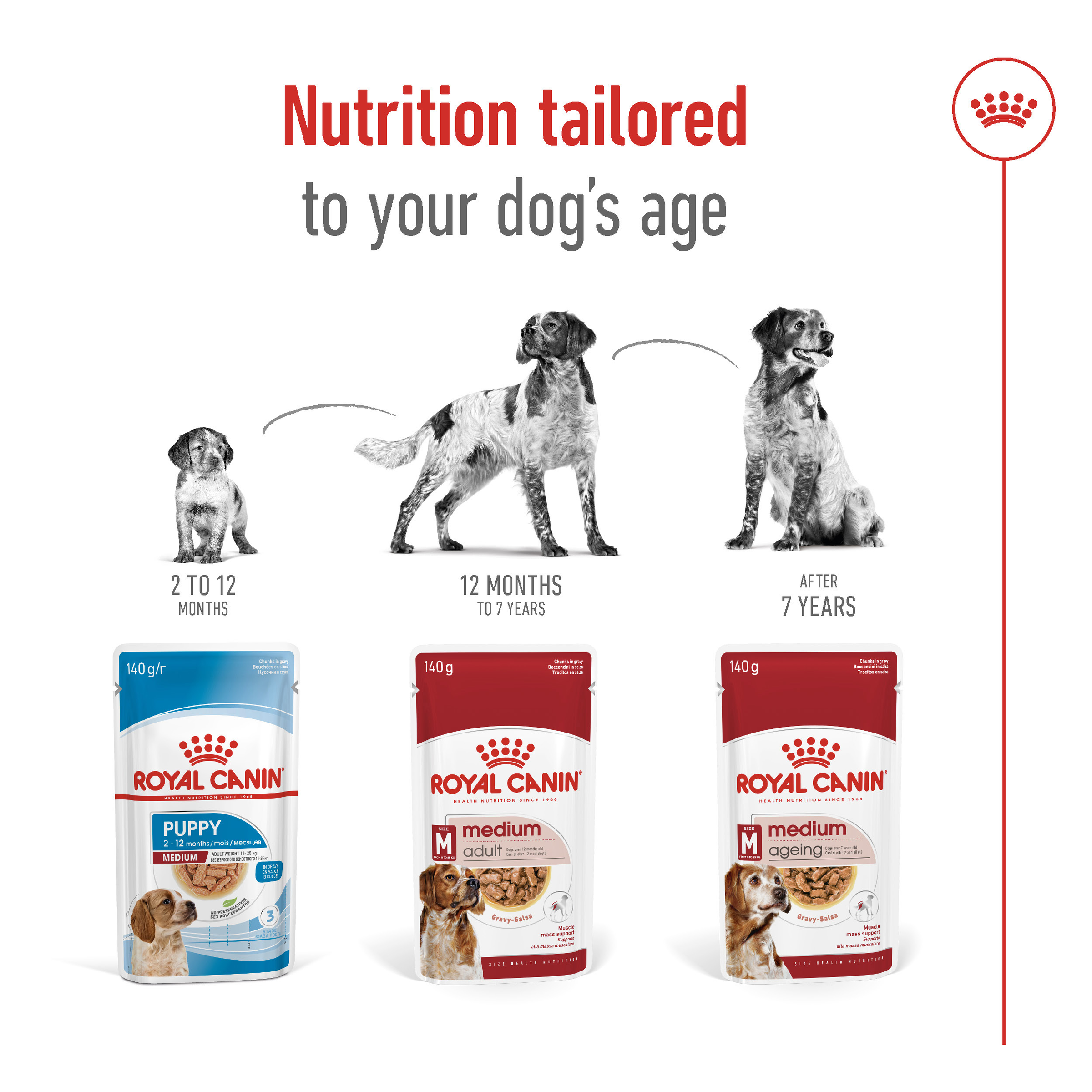Royal Canin Medium Adult 140gx10 Pouches product detail 5
