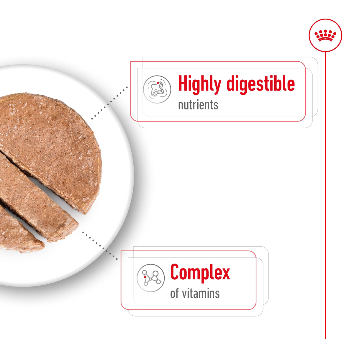 Close-up of Royal Canin Mini Adult loaf, highly digestible with a complex of vitamins