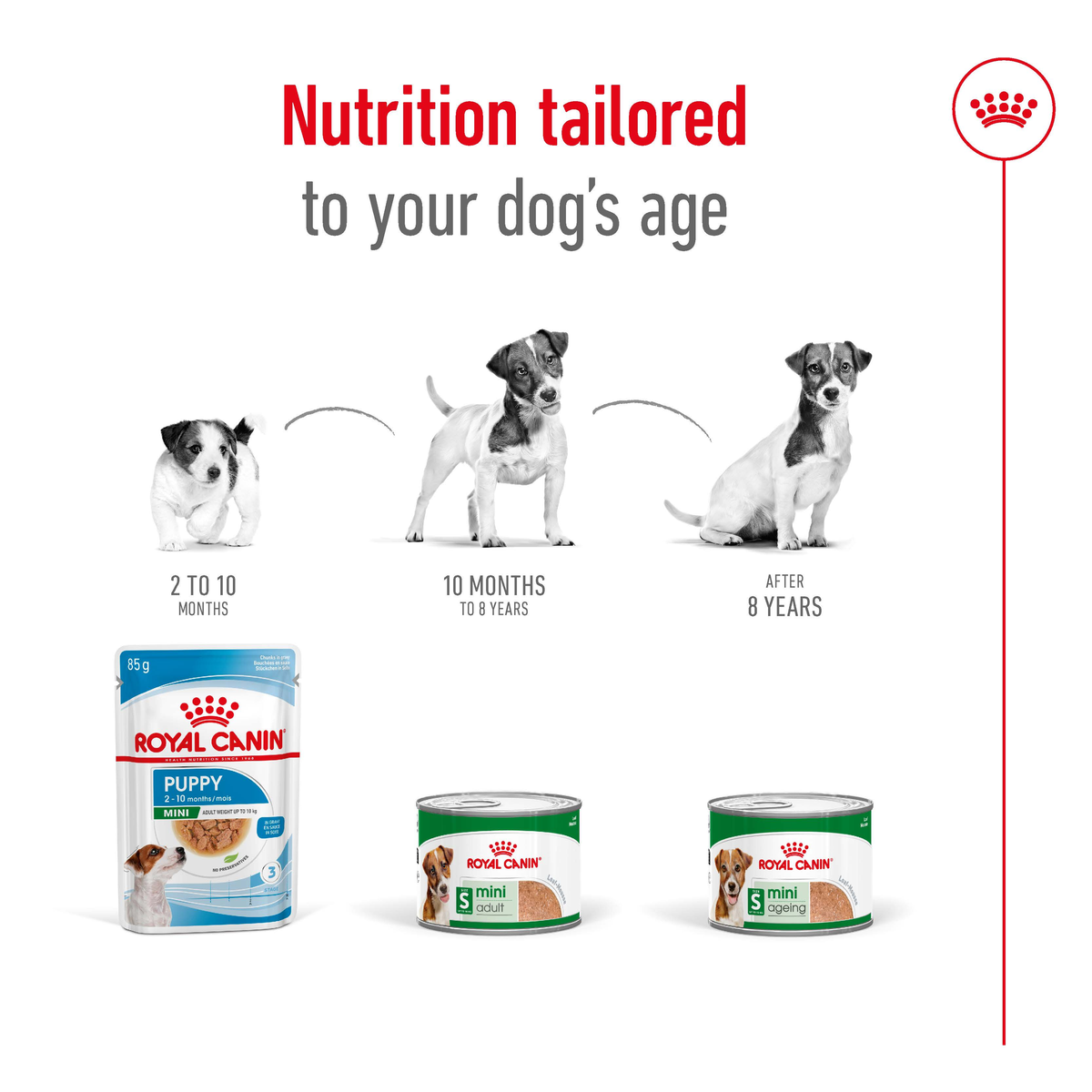 Royal Canin Mini cans and packs shown as nutrition tailored to a dog's age