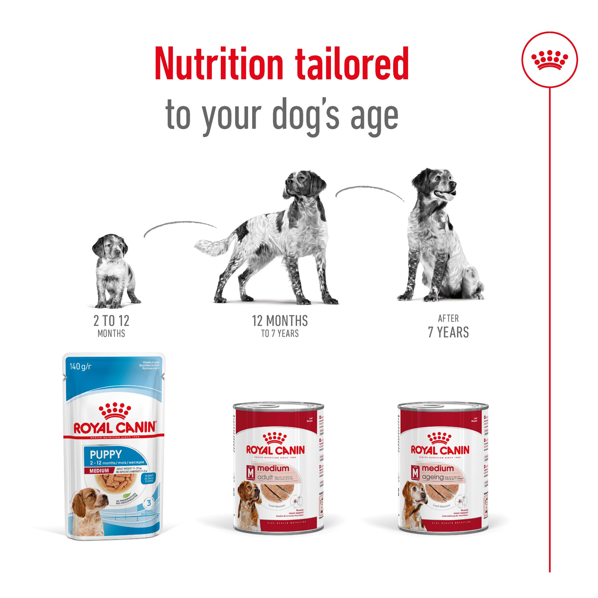 Royal Canin Medium cans and packs shown as nutrition tailored to a dog's age