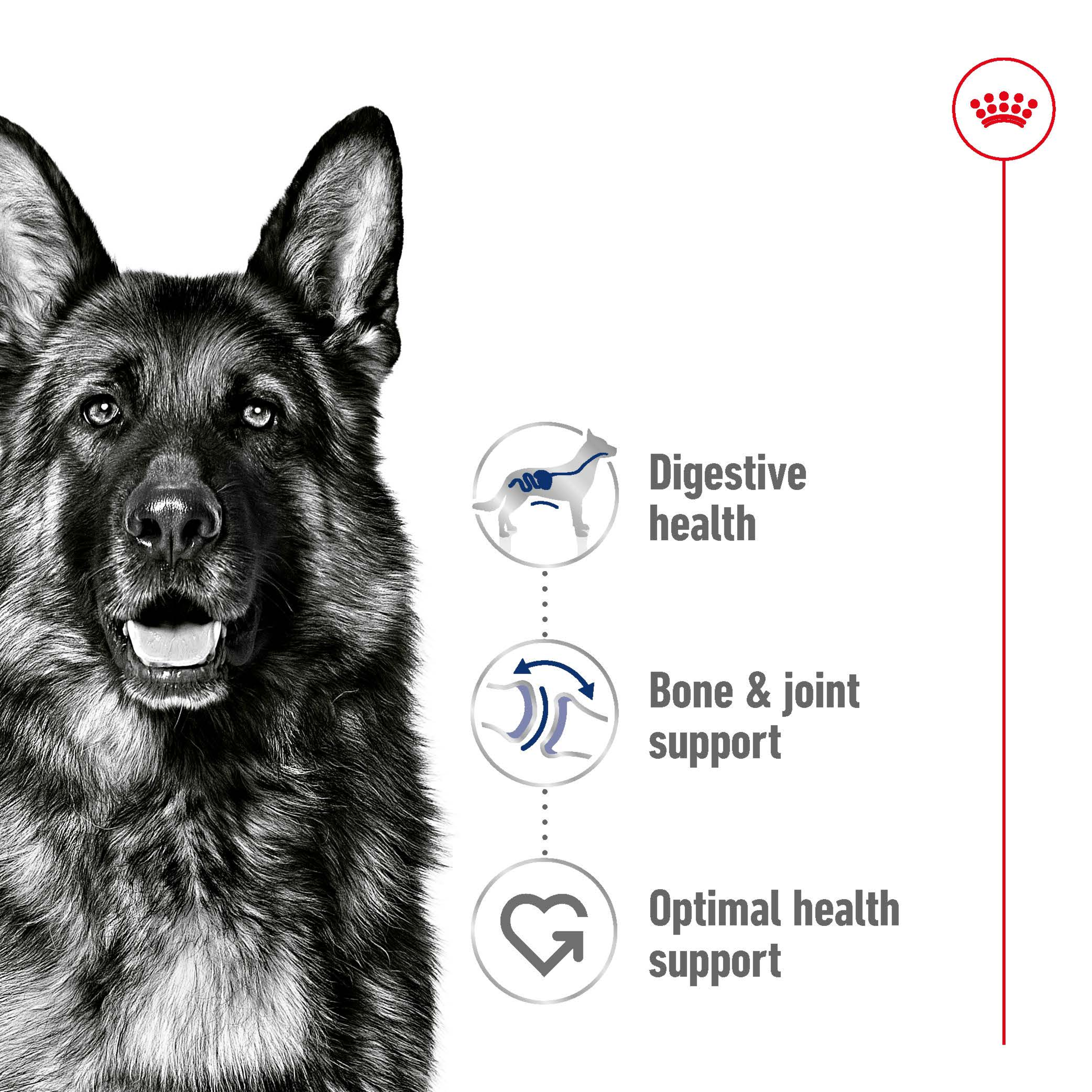 Royal Canin Maxi Adult 140gx10 Pouches product detail 3