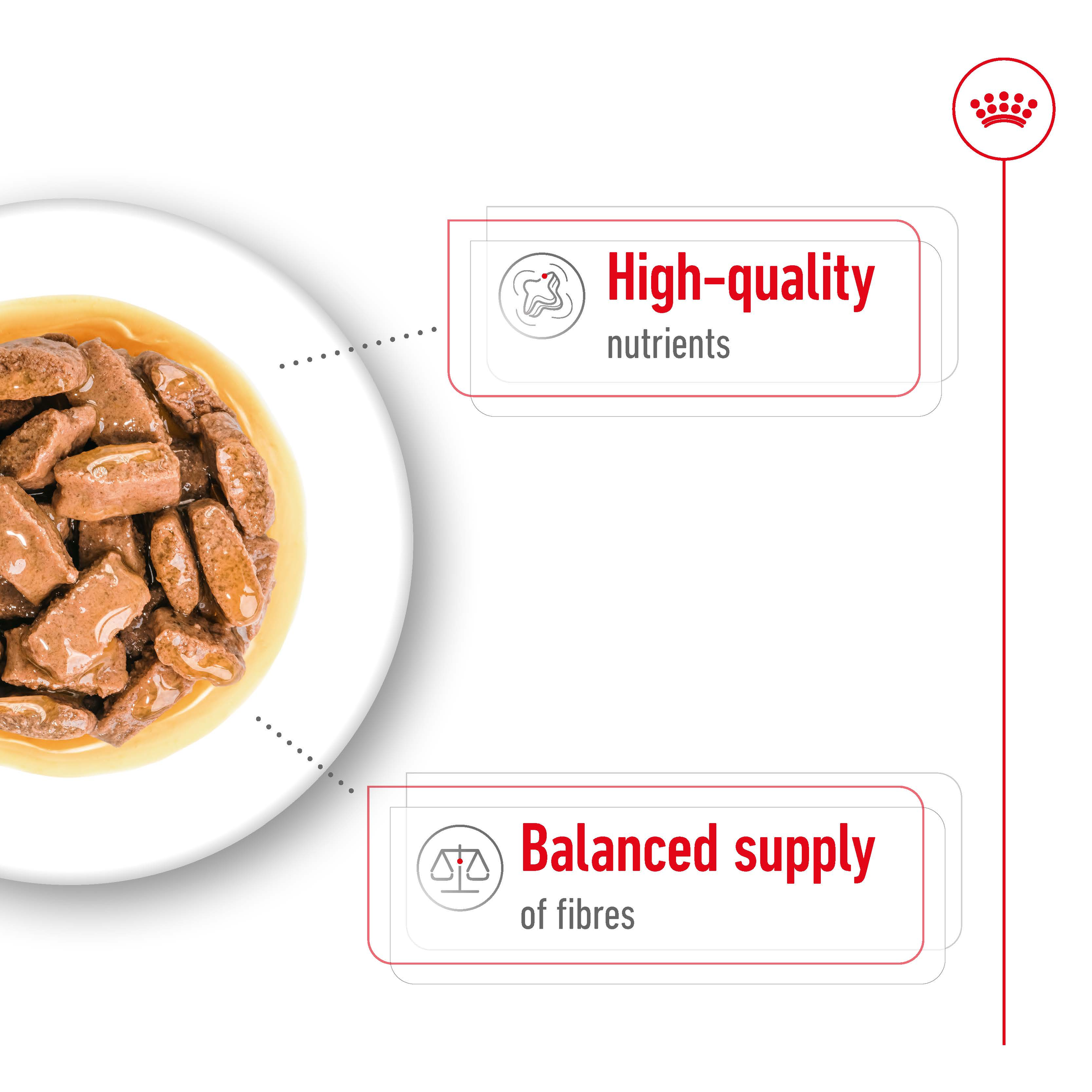 Royal Canin Maxi Adult 140gx10 Pouches product detail 4