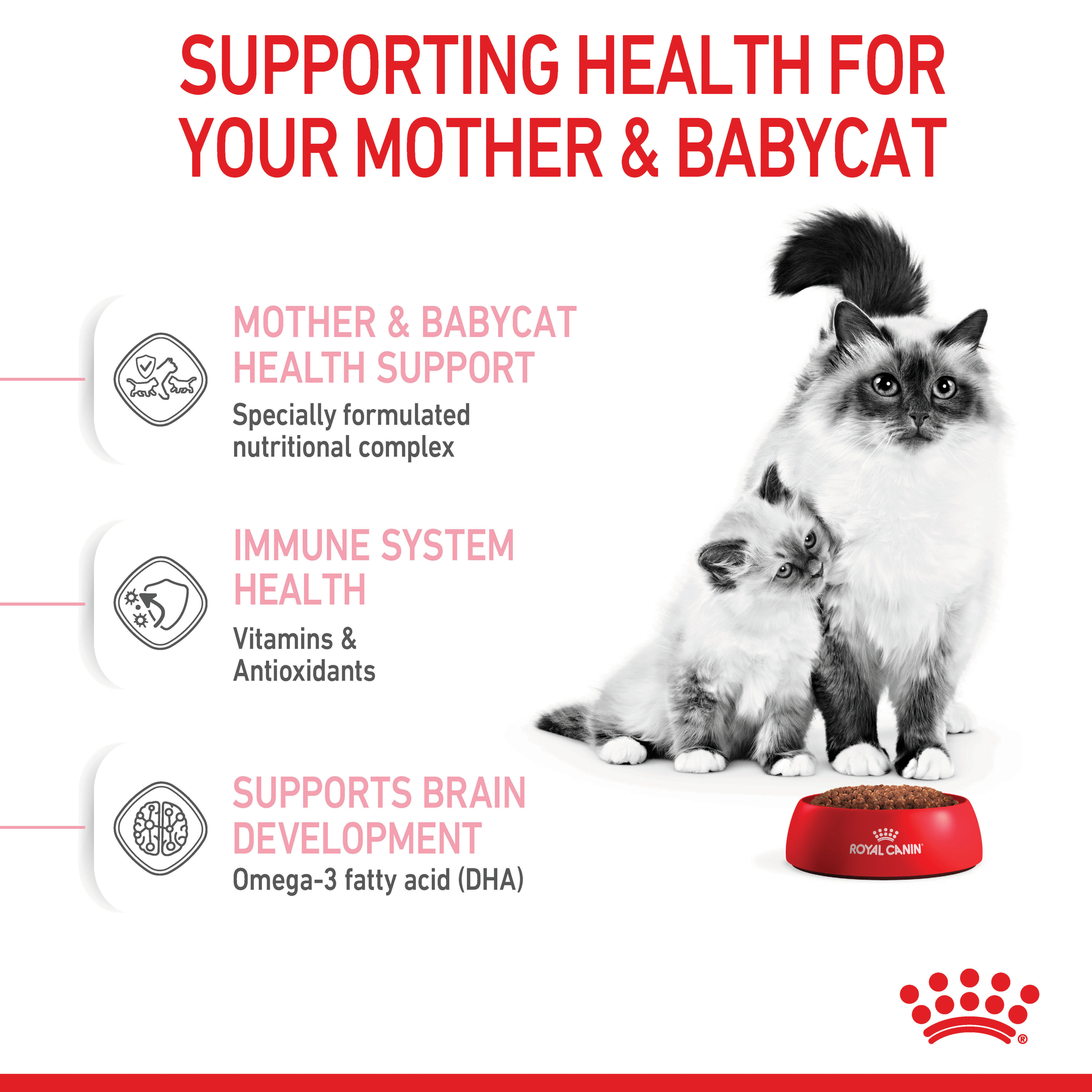Royal Canin Mother & Babycat Dry Cat Food product detail 2