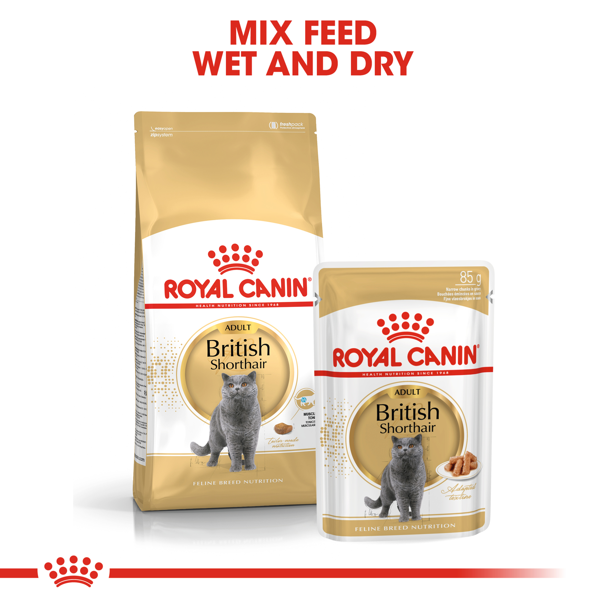 Royal Canin British Shorthair Adult, dry cat food, 400g to 10kg bags, adult cat