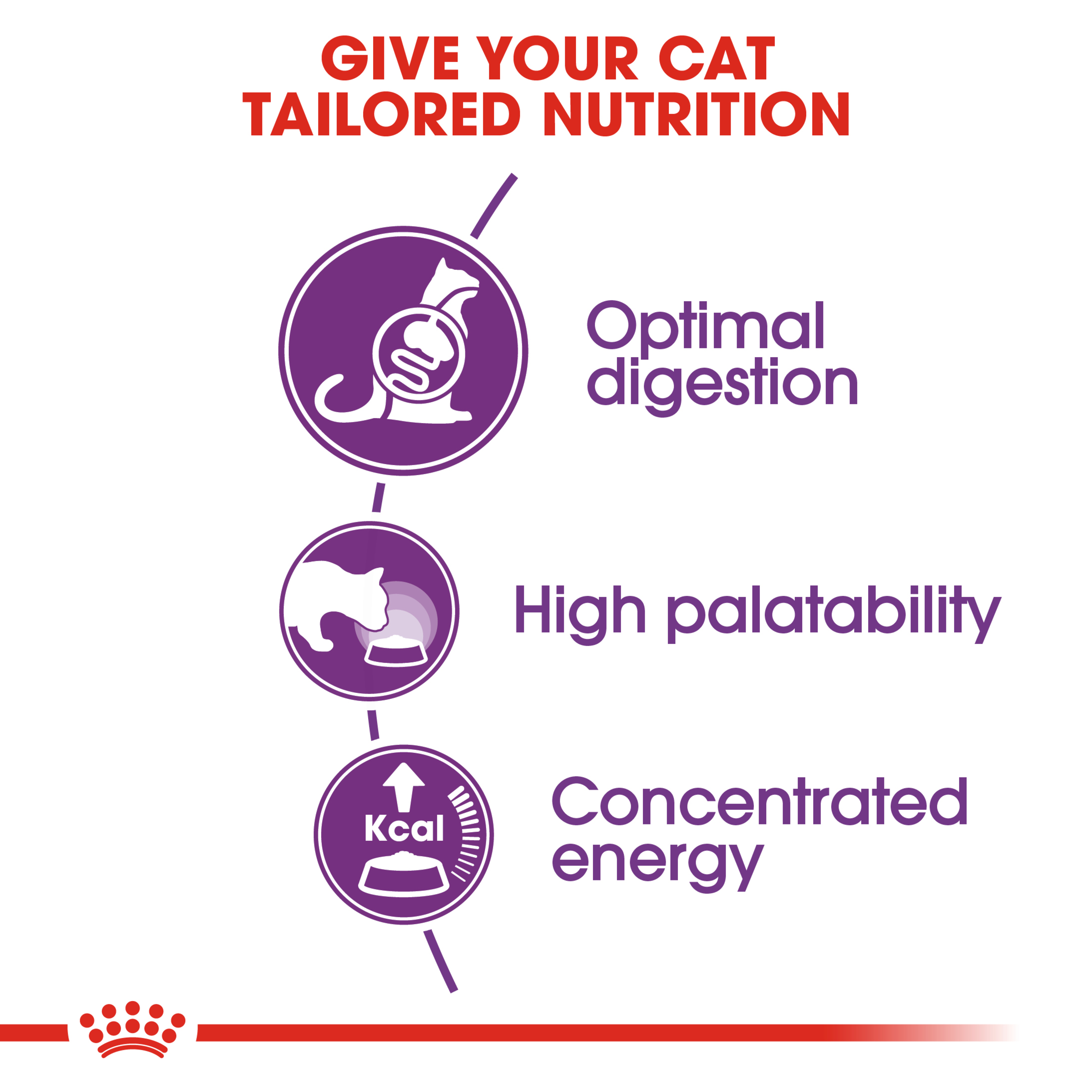 Royal Canin Sensible Dry Cat Food product detail 2