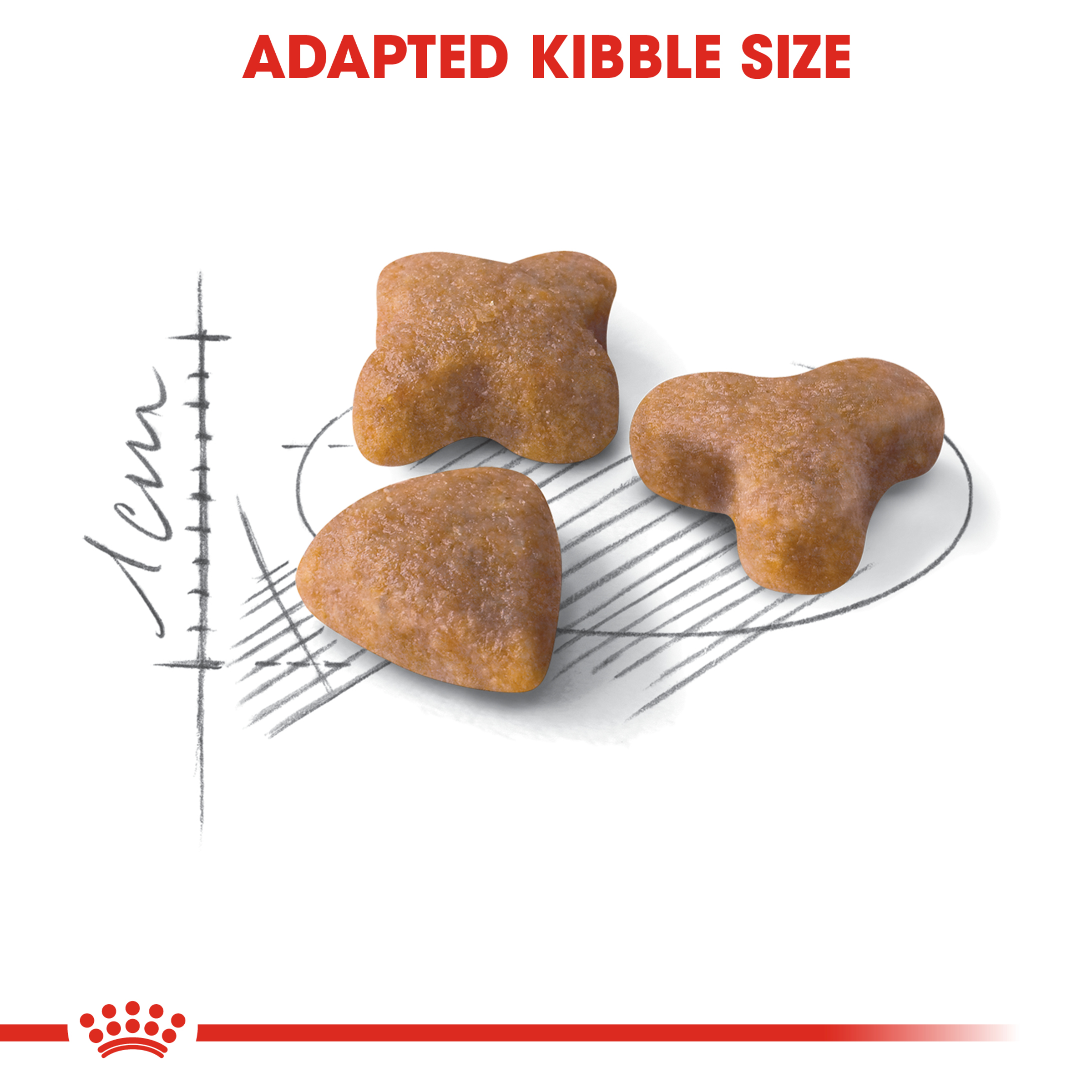 Royal Canin Sensible Dry Cat Food product detail 3
