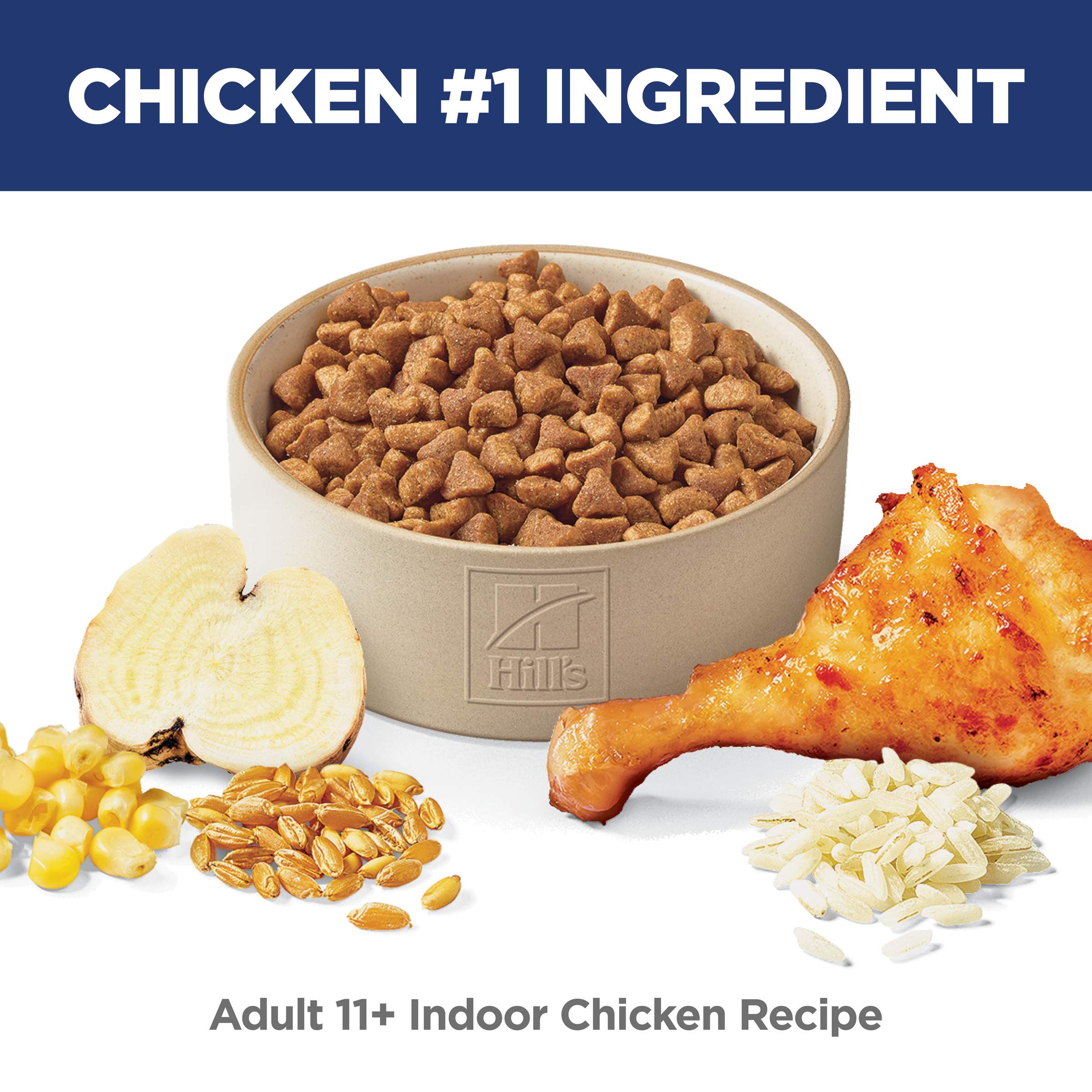 Chicken is the number one ingredient: bowl of Hill's Adult 11+ Indoor chicken recipe cat kibble