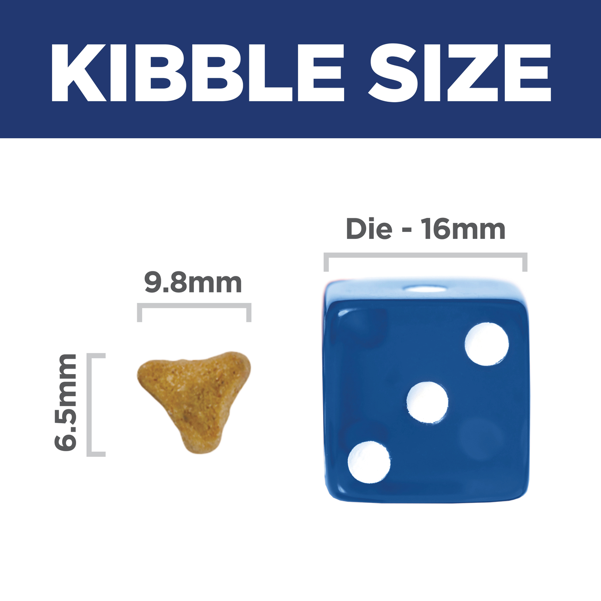 Kibble size comparison: 9.8mm by 6.5mm Hill's Adult 11+ Indoor cat kibble beside a 16mm dice