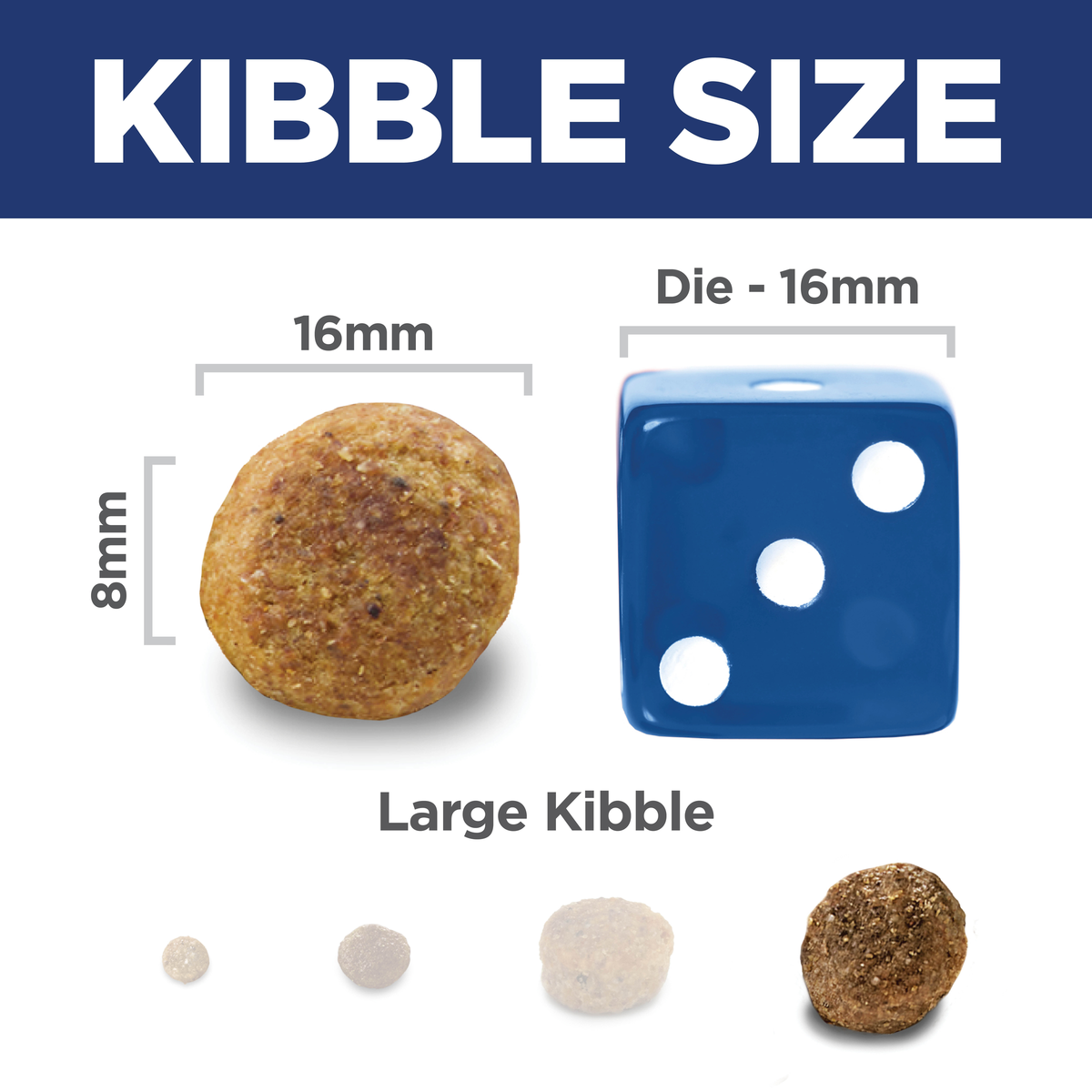 Kibble size comparison: 16mm by 8mm Hill's Adult Light Large Breed kibble beside a 16mm dice
