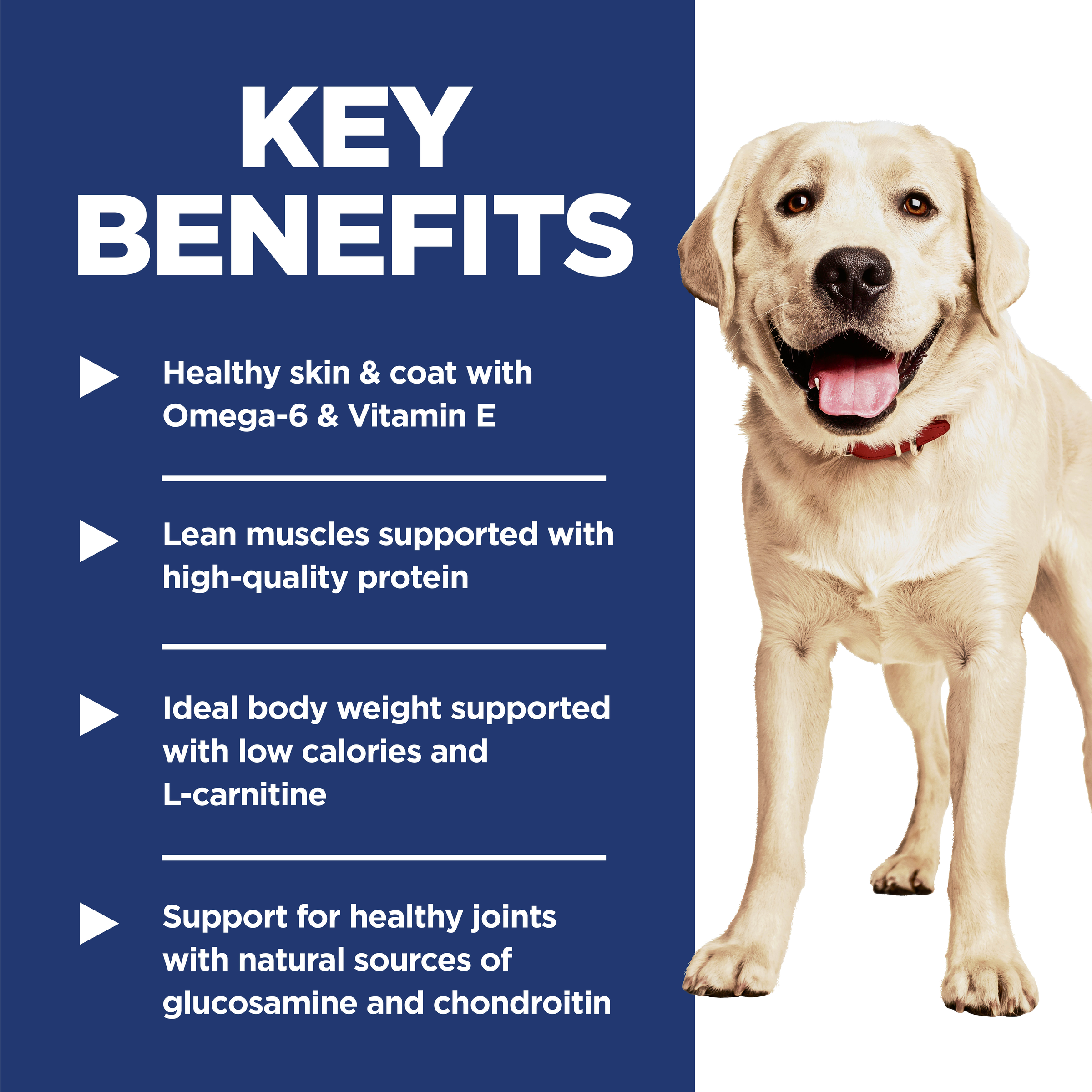 Key benefits panel for Hill's Adult Light Large Breed: ideal body weight, lean muscles and joint support