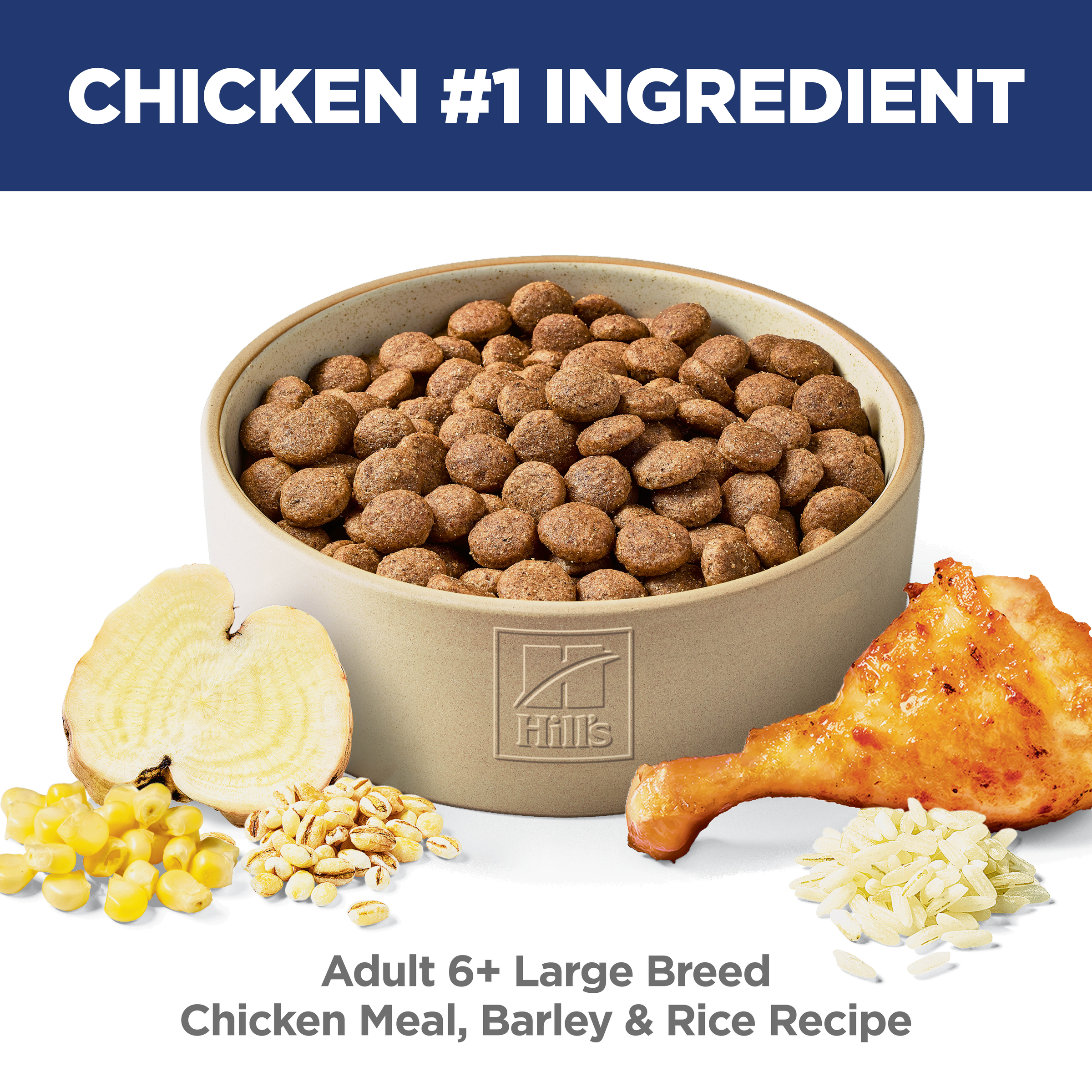 Chicken is the number one ingredient: bowl of Hill's Adult 6+ Large Breed chicken, barley and rice kibble