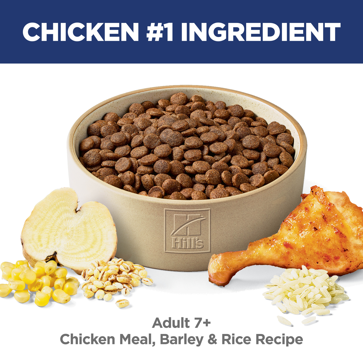 Chicken is the number one ingredient: bowl of Hill's Adult 7+ chicken, barley and rice dog kibble