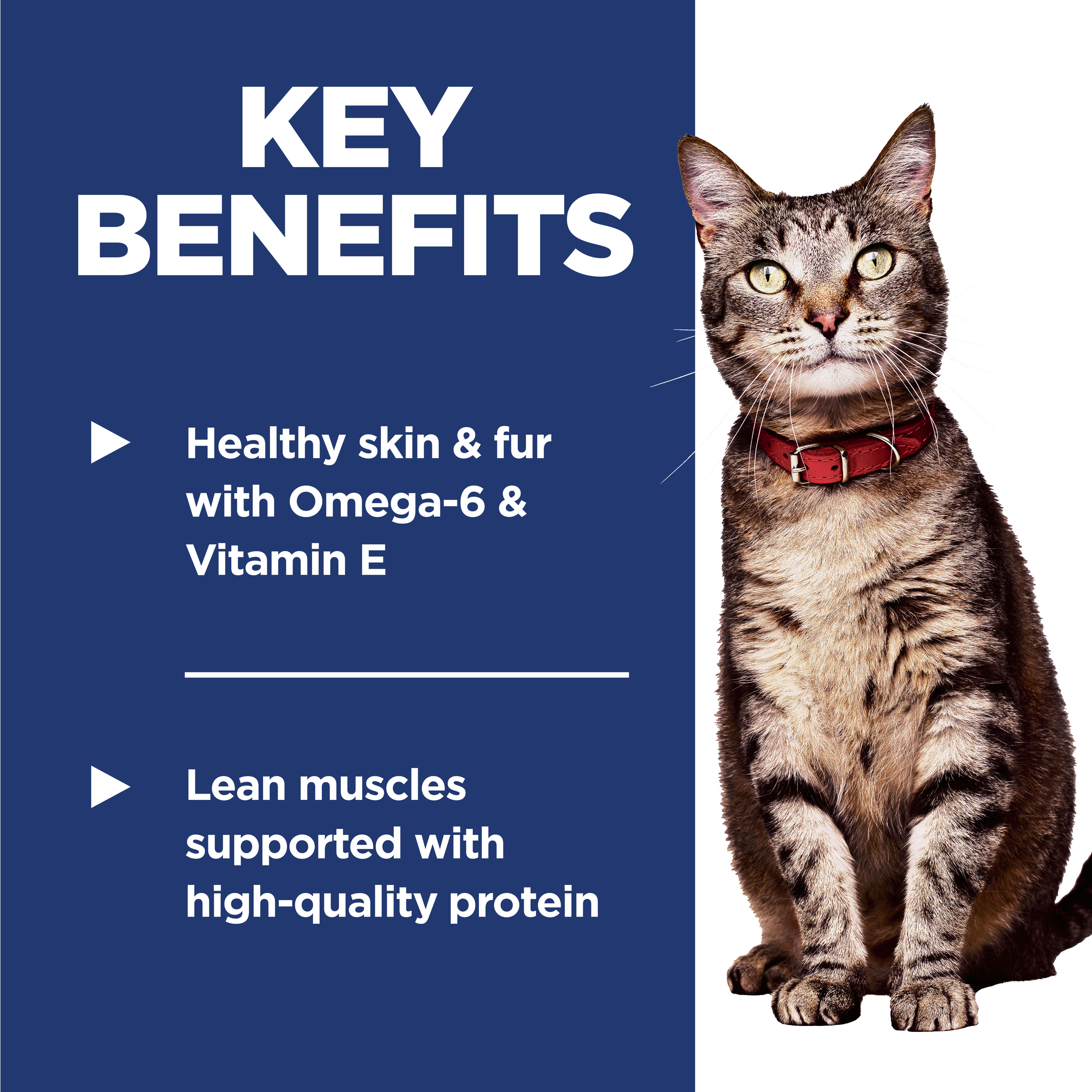 Key benefits panel: healthy skin and fur from omega-6 and vitamin E, lean muscles from quality protein