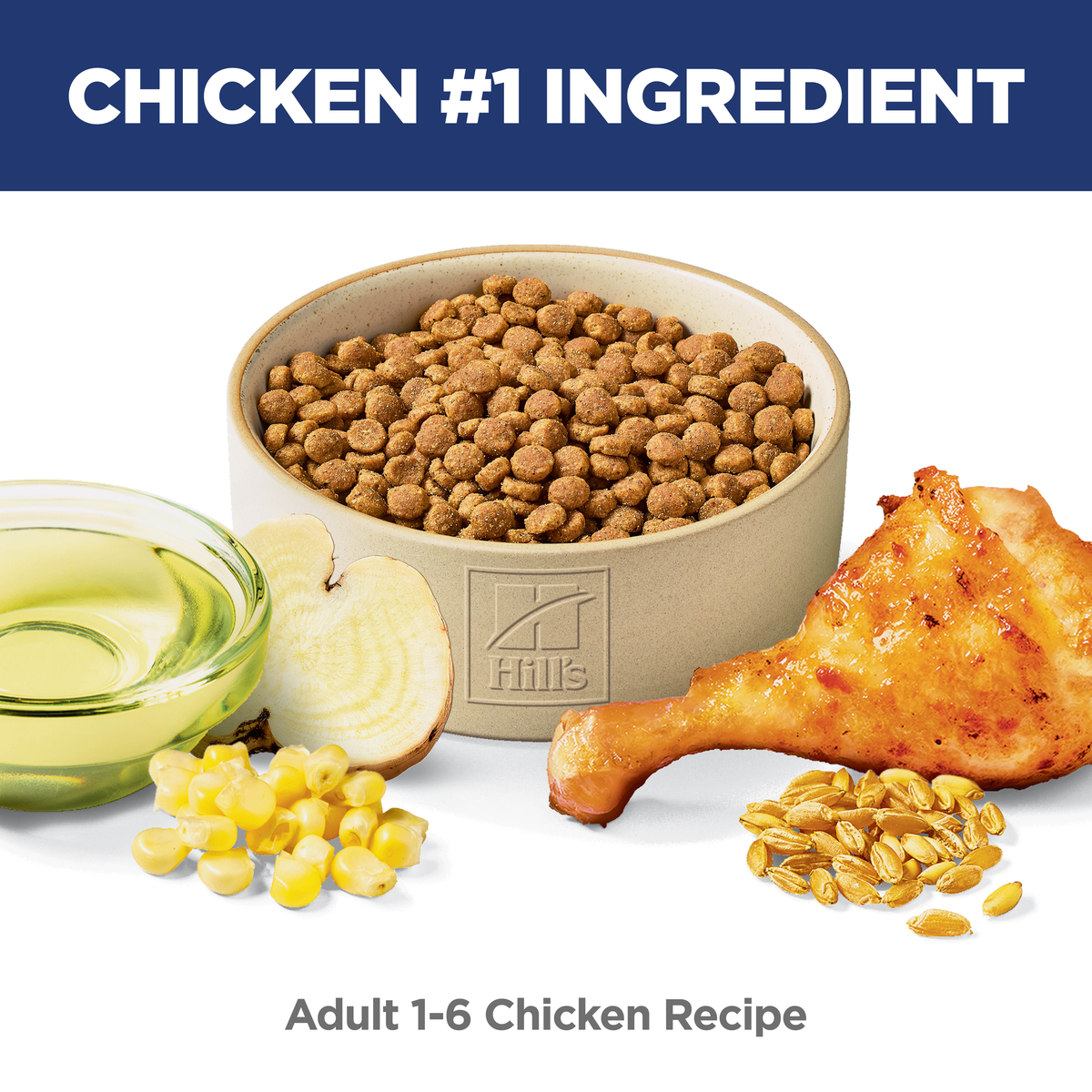 Chicken is the number one ingredient: bowl of Hill's Science Diet Adult chicken recipe cat kibble