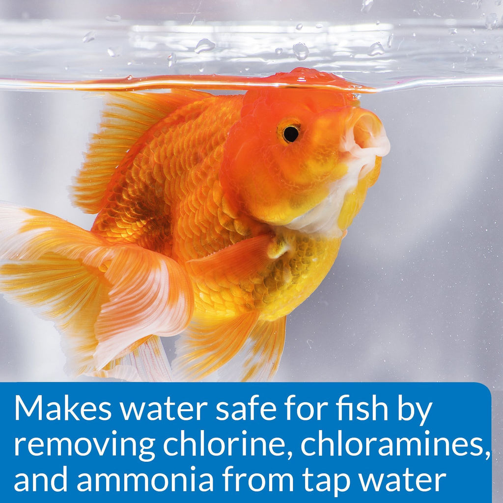 API Goldfish Aquarium Cleaner 118ml | Cleans Aquarium