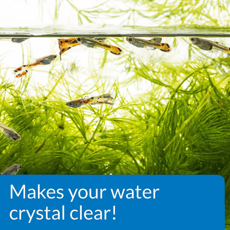 API Accu Clear Freshwater Aquarium Clarifier