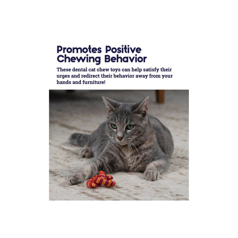 Petstages Catnip Plaque Away Pretzel