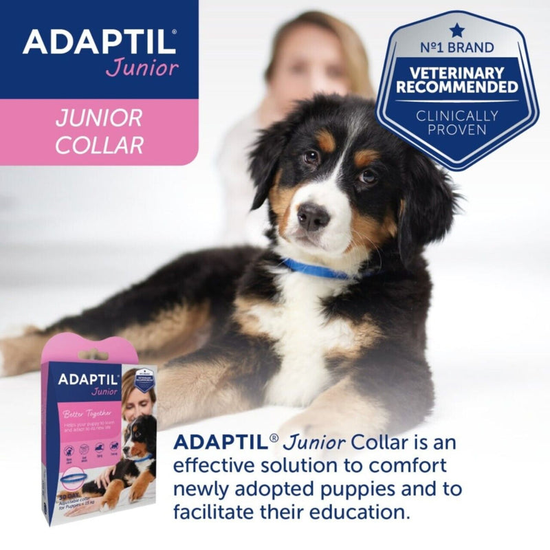 Adaptil Junior/Puppy Collar