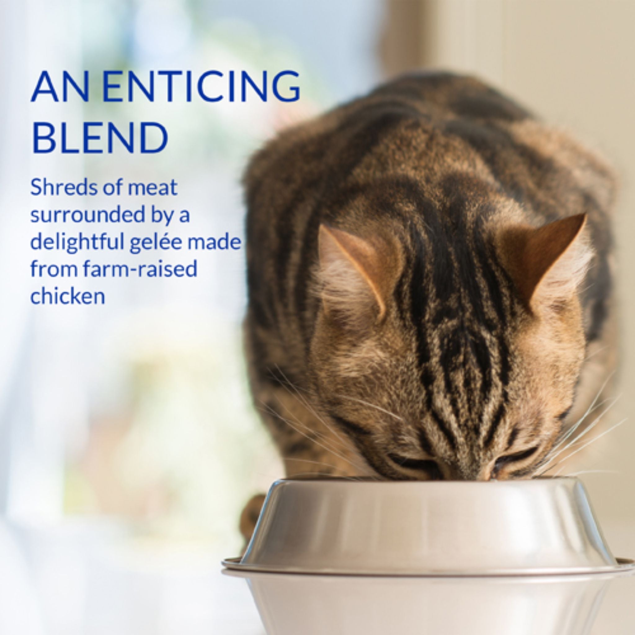 Inaba Cat Treat Churu Stew Chicken
