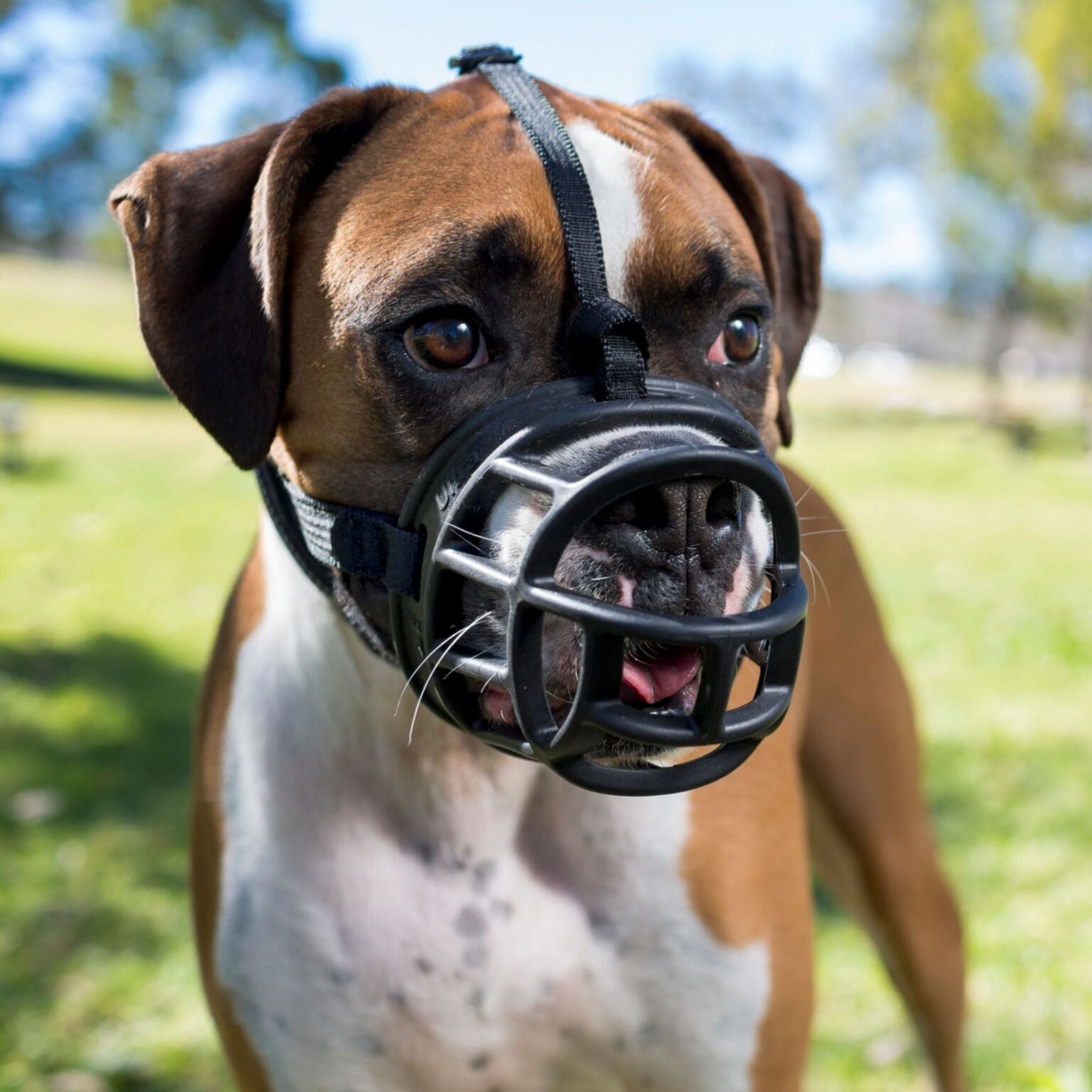 Baskerville Ultra Dog Muzzle Black