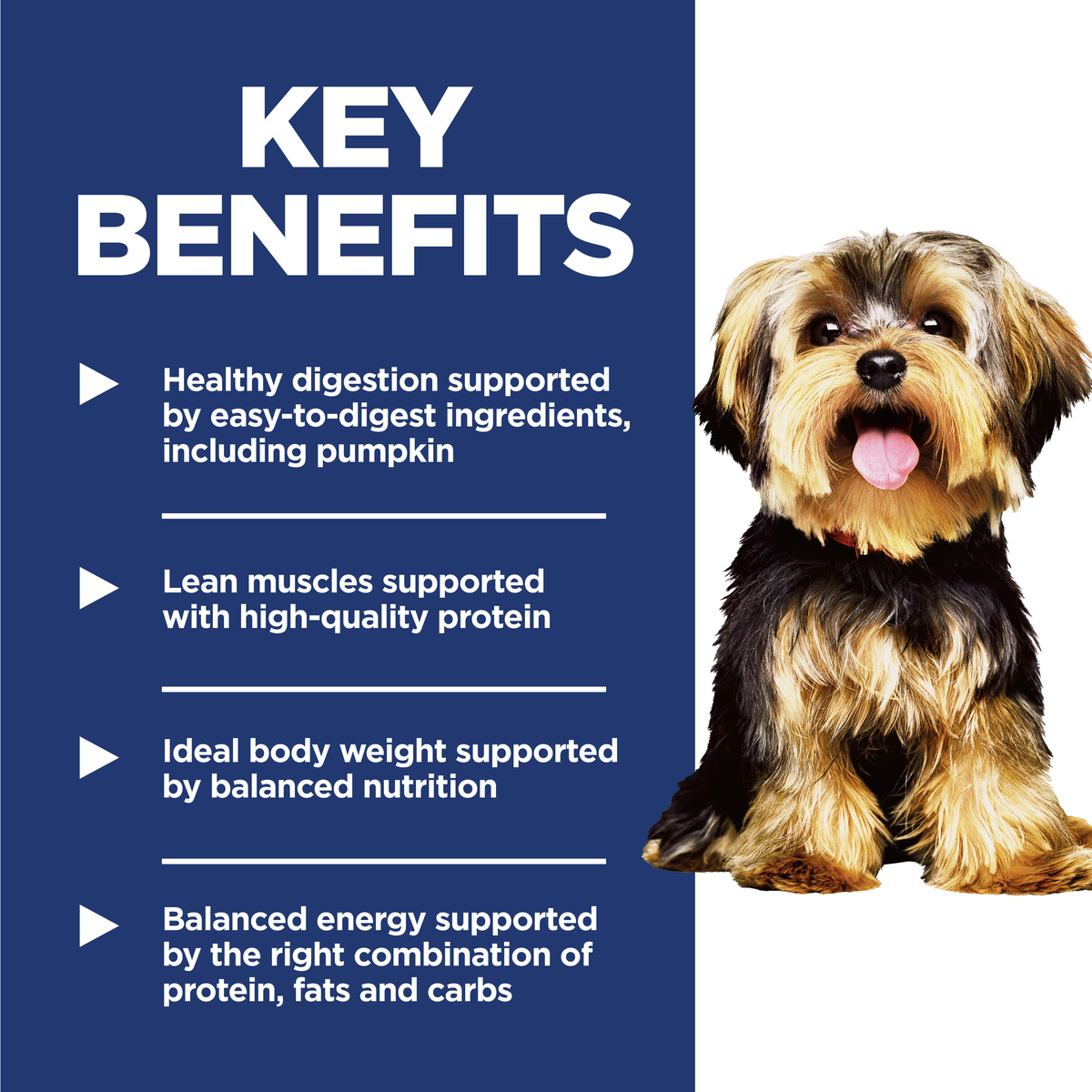Key benefits panel for Hill's Adult Small & Mini: easy digestion, lean muscles and balanced energy