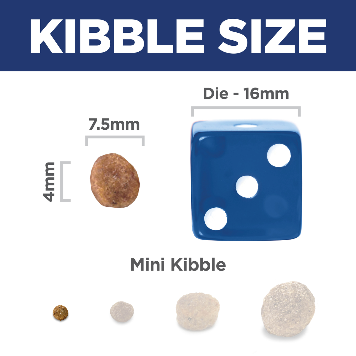 Kibble size comparison: 7.5mm by 4mm Hill's Adult Small & Mini dog kibble beside a 16mm dice