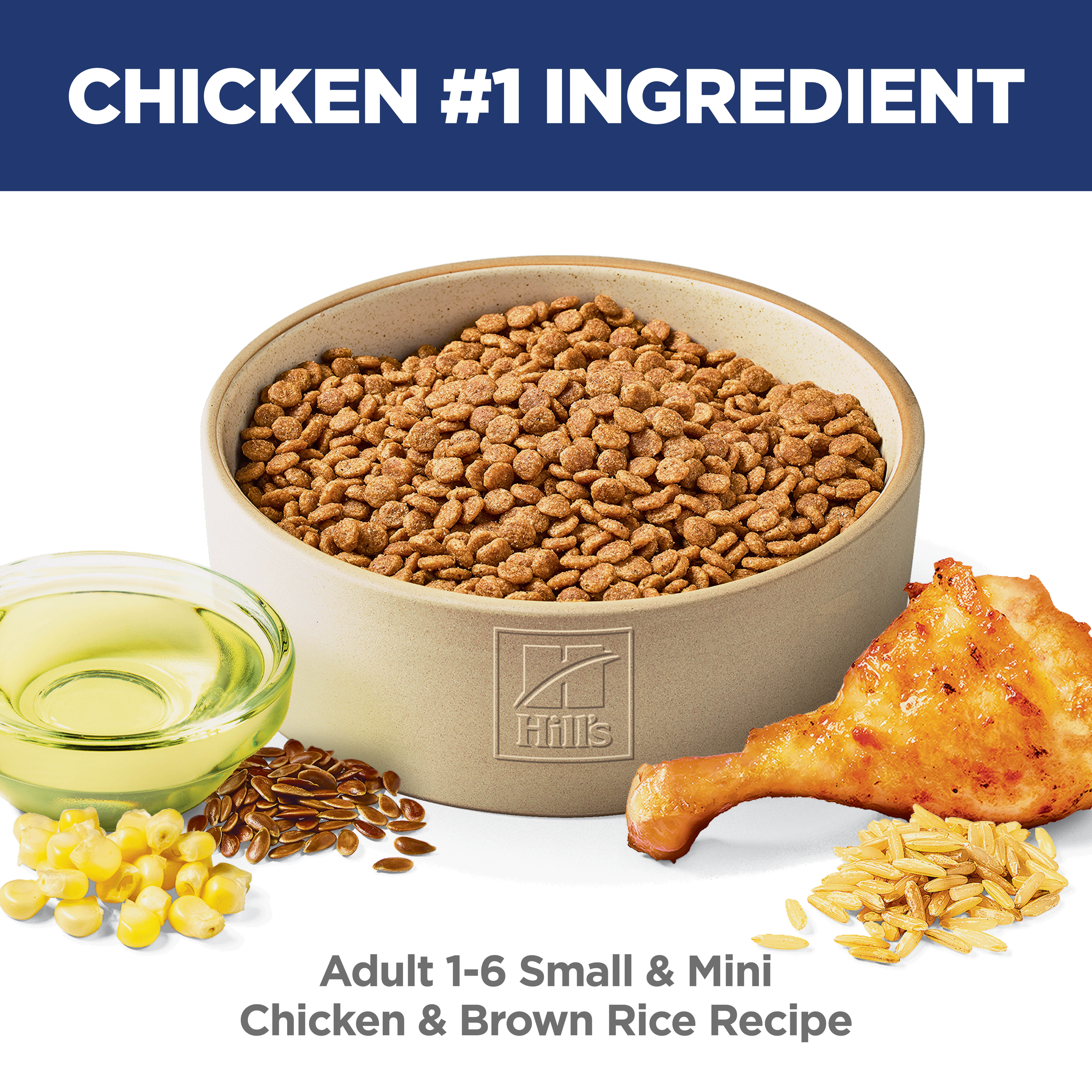 Chicken is the number one ingredient: bowl of Hill's Adult Small & Mini chicken and brown rice kibble