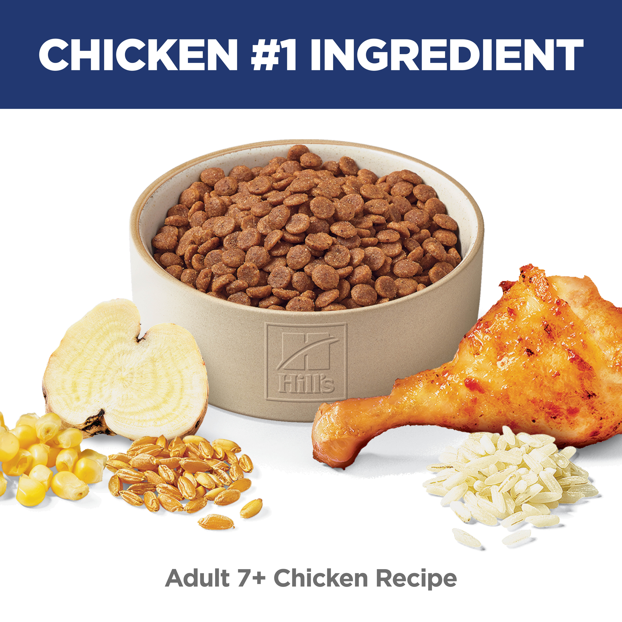 Chicken is the number one ingredient: bowl of Hill's Science Diet Adult 7+ chicken recipe cat kibble