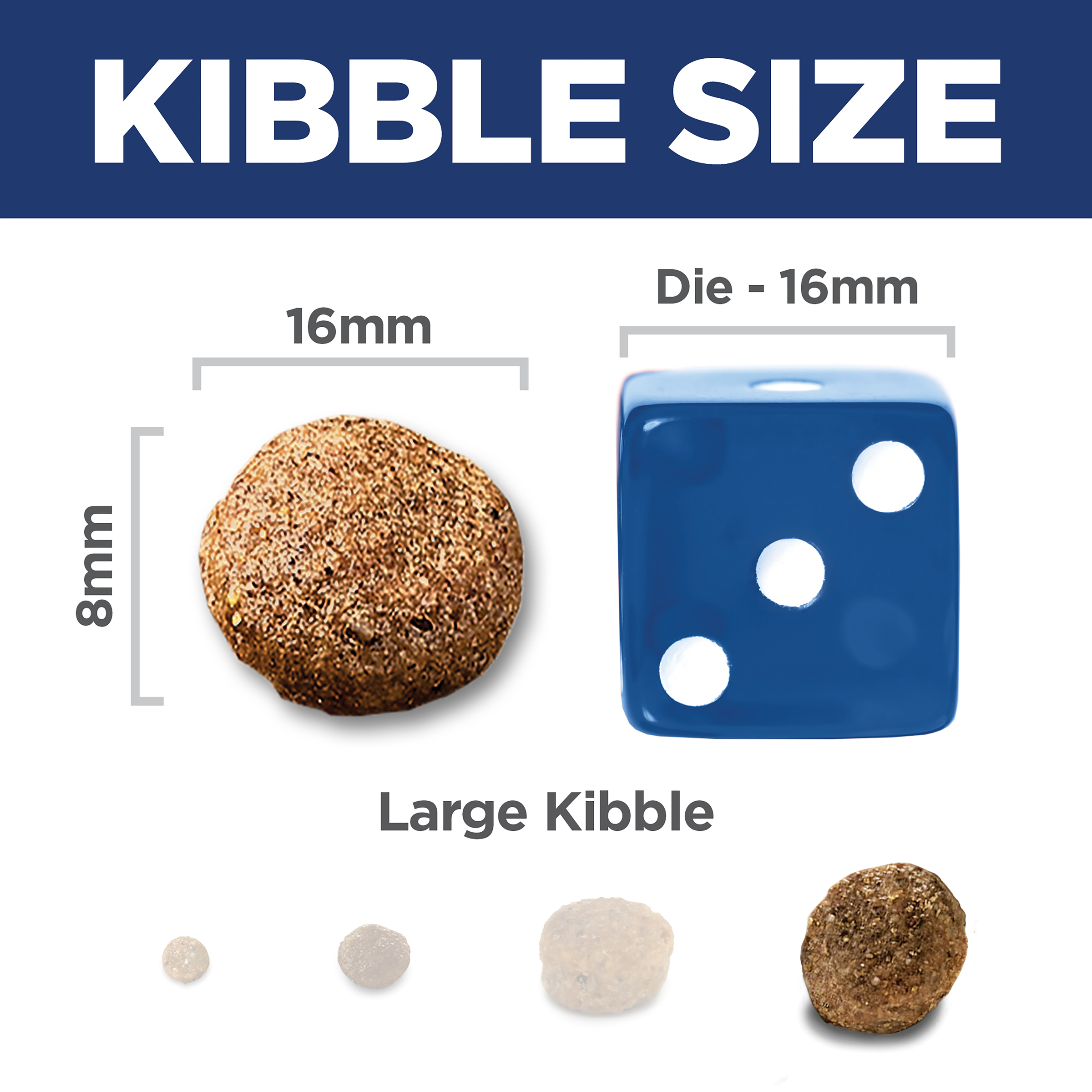 Kibble size comparison: 16mm by 8mm Hill's Adult 6+ Large Breed dog kibble beside a 16mm dice