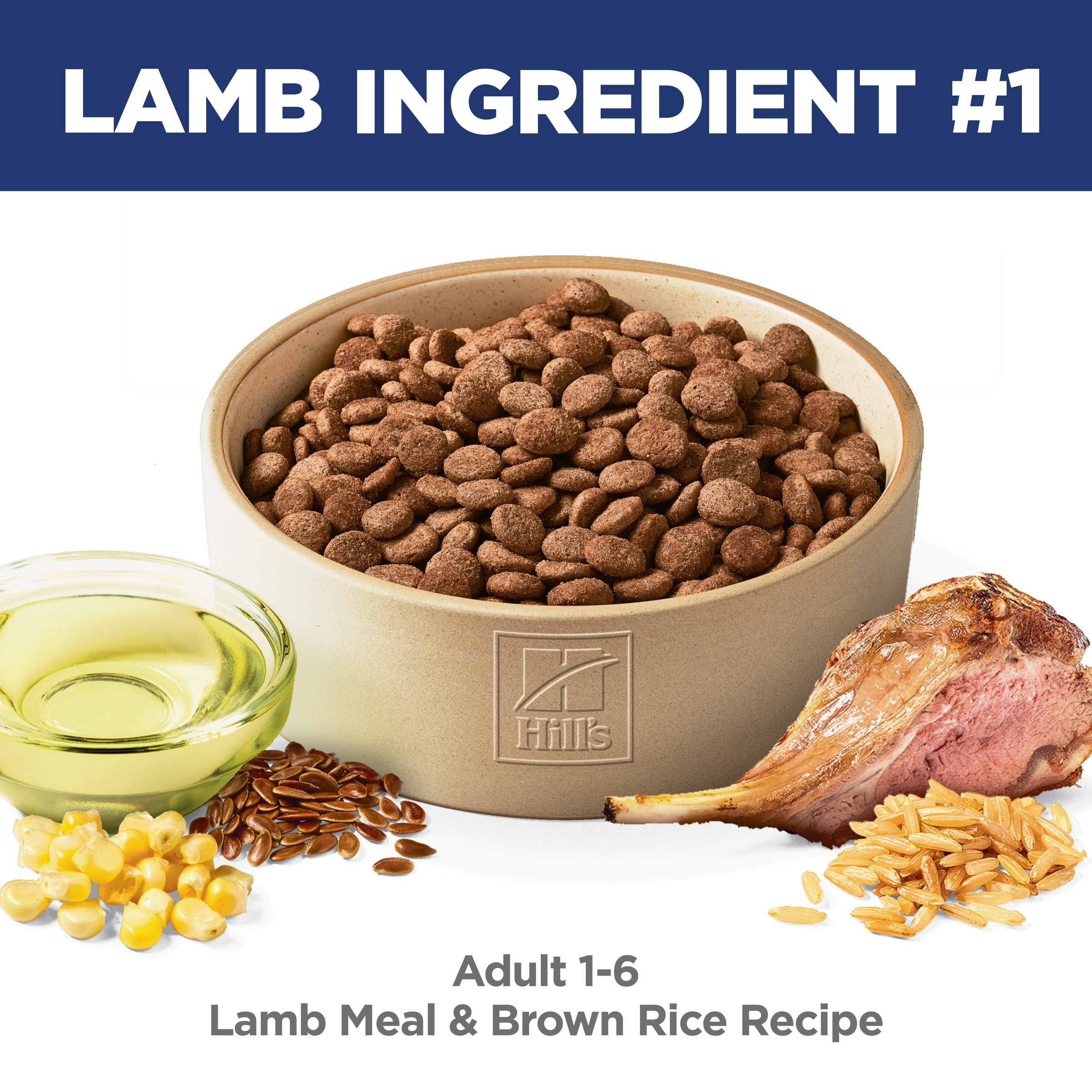 Lamb is ingredient number one: bowl of Hill's Adult lamb meal and brown rice dog kibble