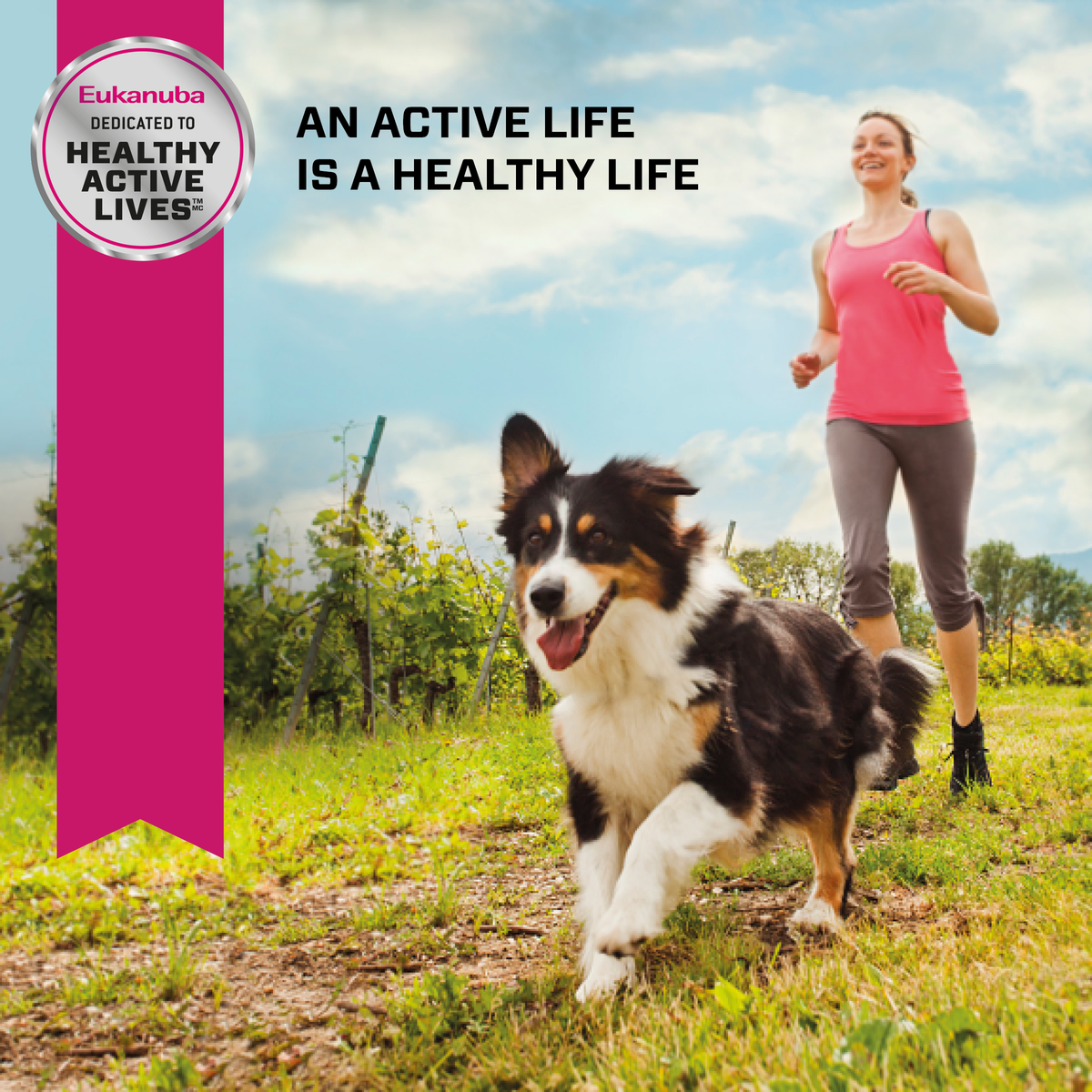Eukanuba lifestyle photo of a dog trotting through a field with a woman running