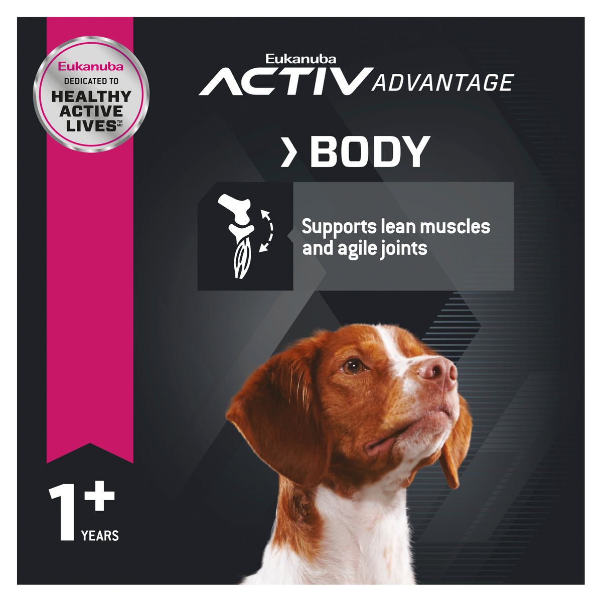 Eukanuba Activ Advantage Body panel on supporting lean muscles and agile joints