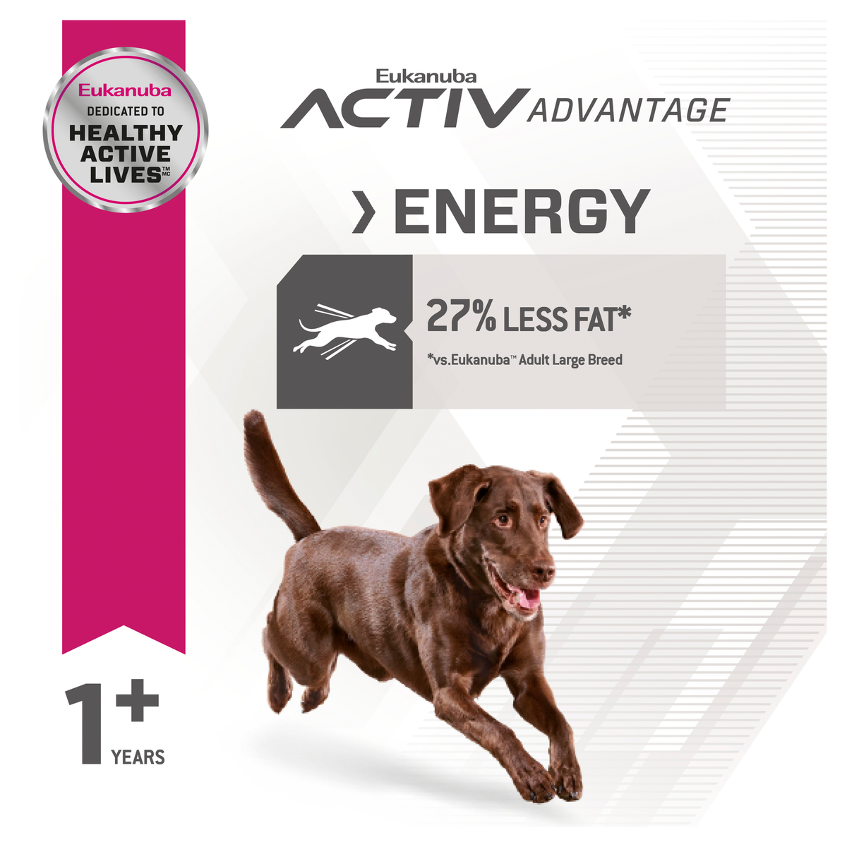 Eukanuba Activ Advantage Energy panel, 27% less fat, with a chocolate Labrador