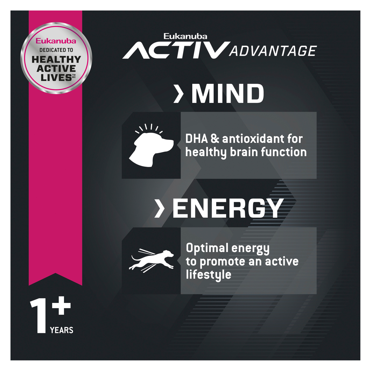 Eukanuba Activ Advantage Mind and Energy panels for small breed dogs from one year