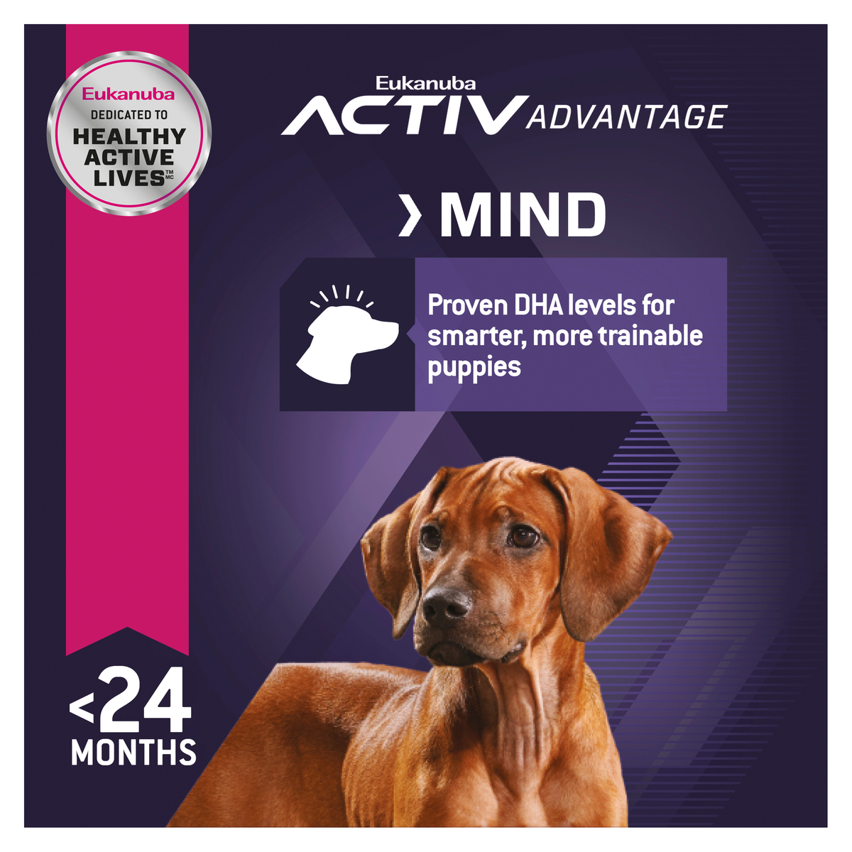 Eukanuba Activ Advantage Mind panel, on DHA levels for smarter, more trainable puppies