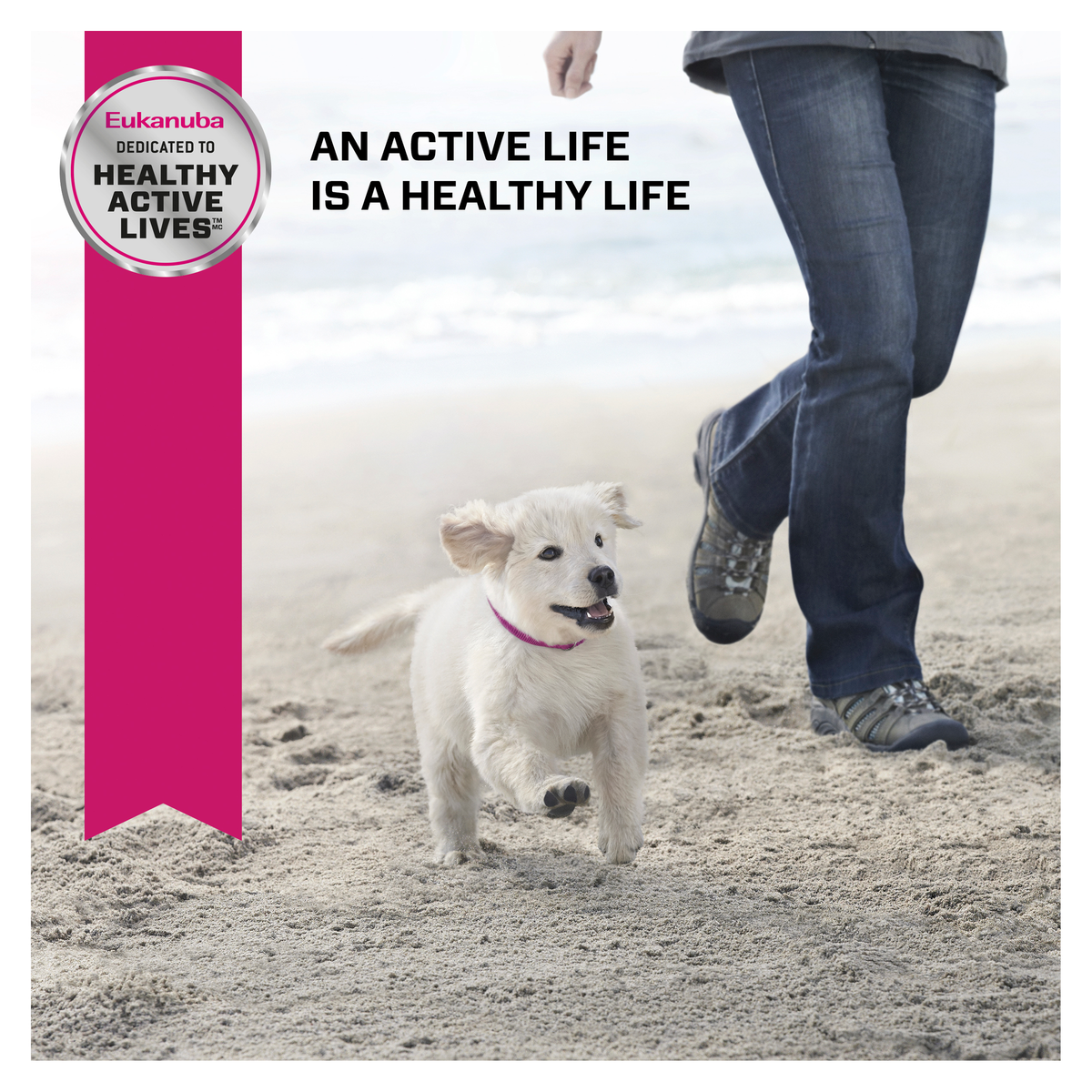 Eukanuba lifestyle photo of a puppy walking on sand beside its owner's legs